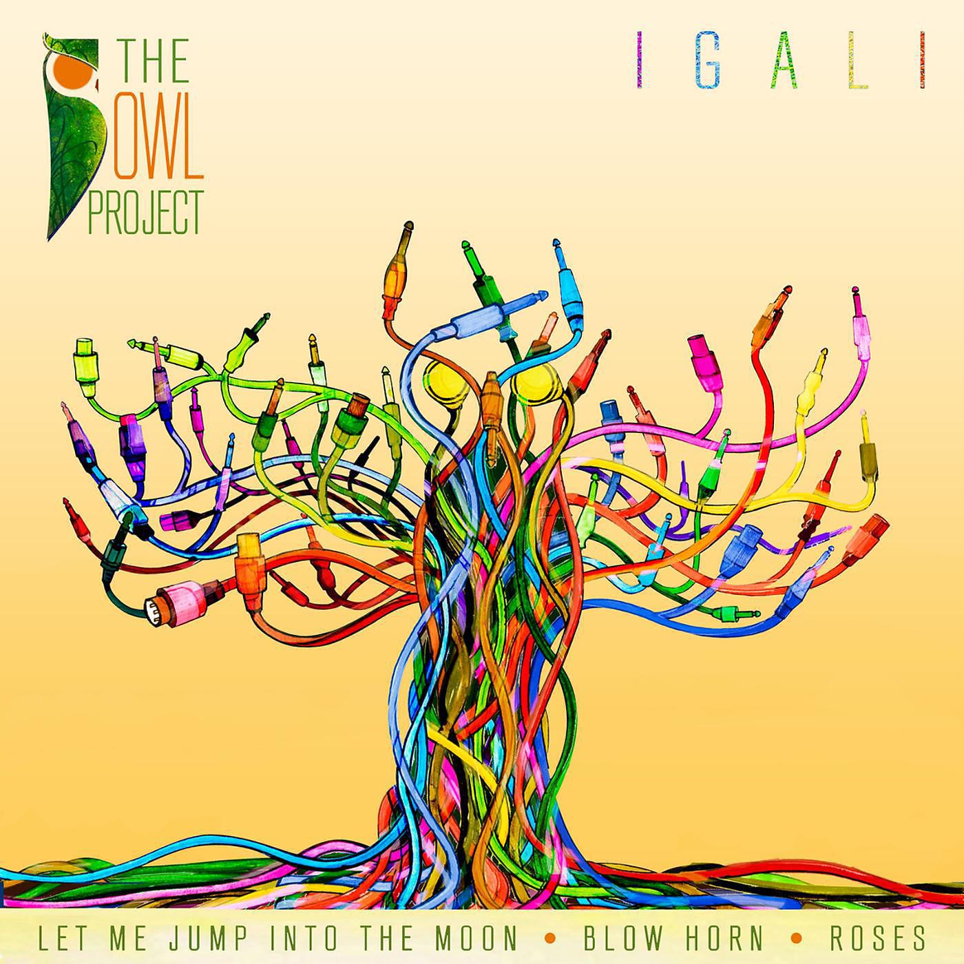 Постер альбома Igali