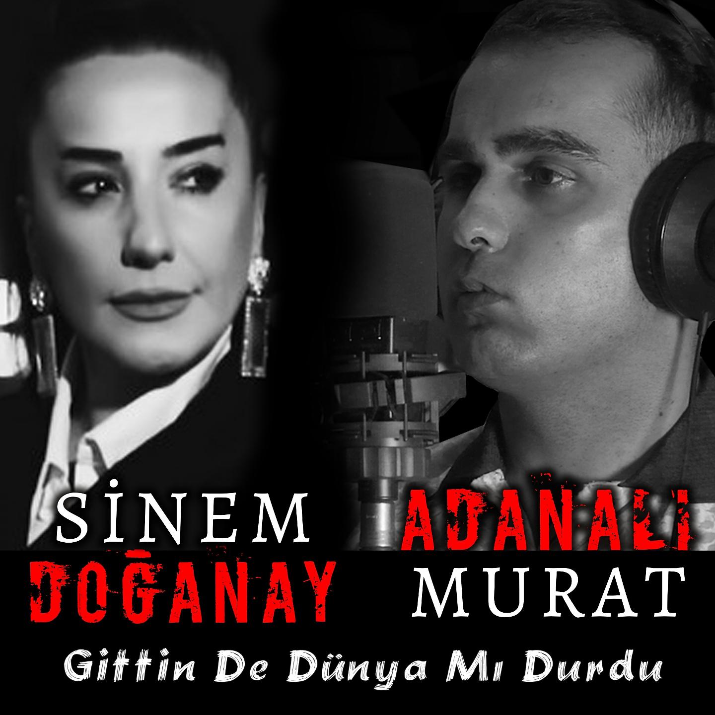 Постер альбома Gittin De Dünya Mı Durdu
