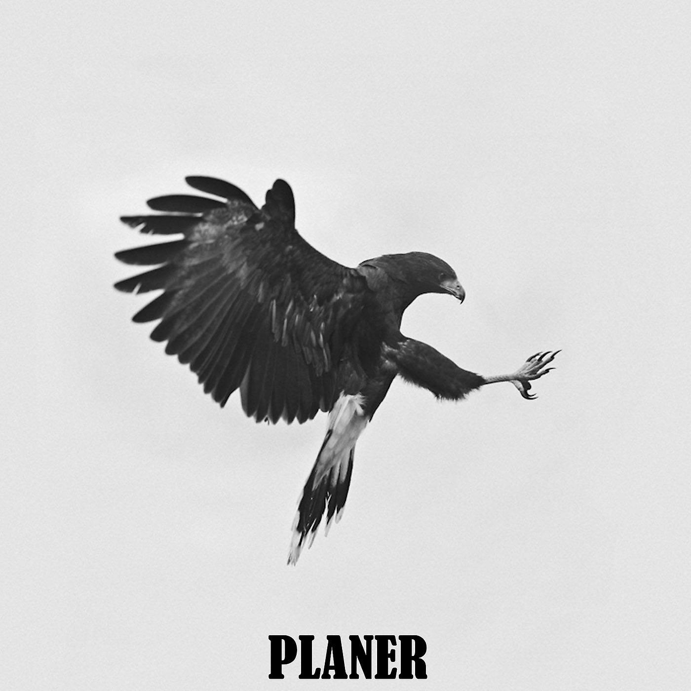 Постер альбома Planer