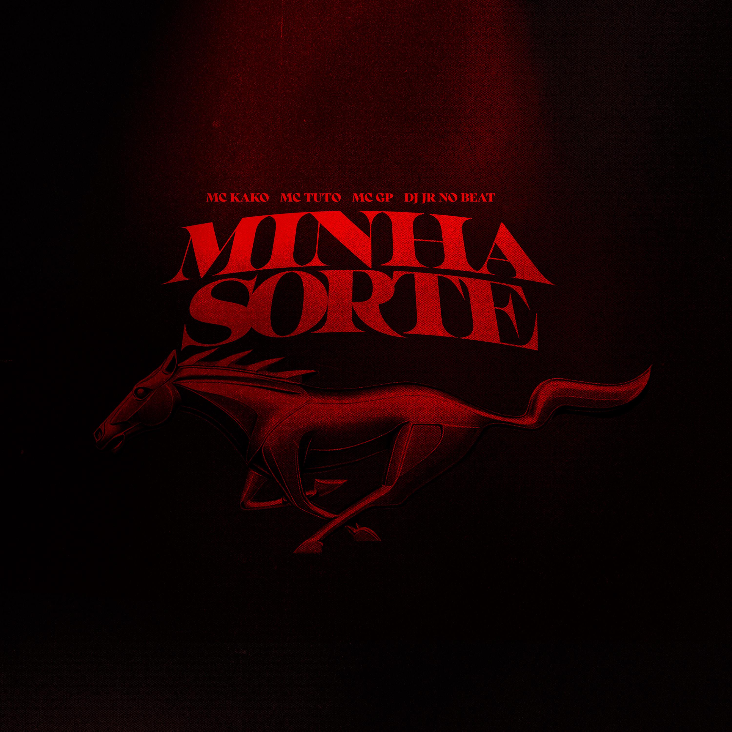 Постер альбома Minha Sorte