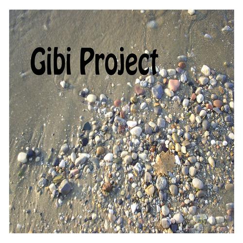 Постер альбома Gibi Project