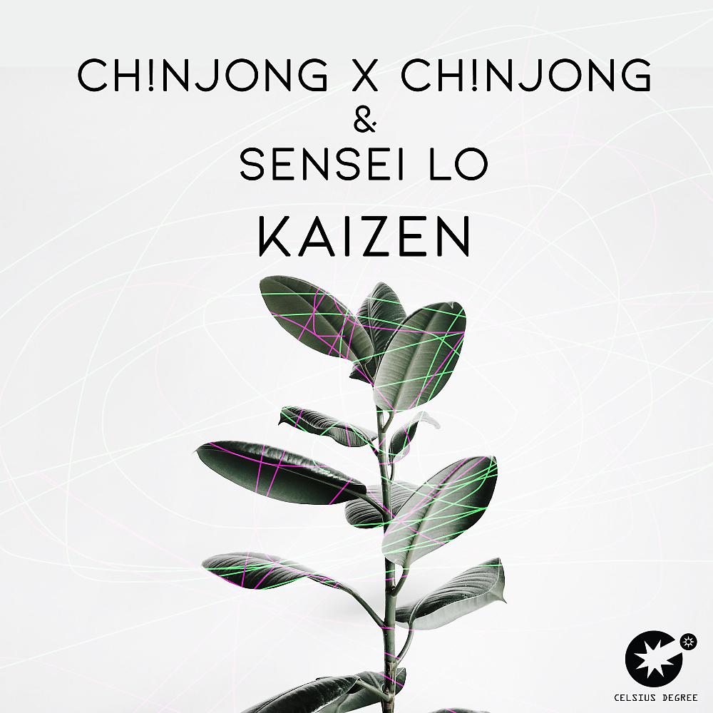 Постер альбома Kaizen