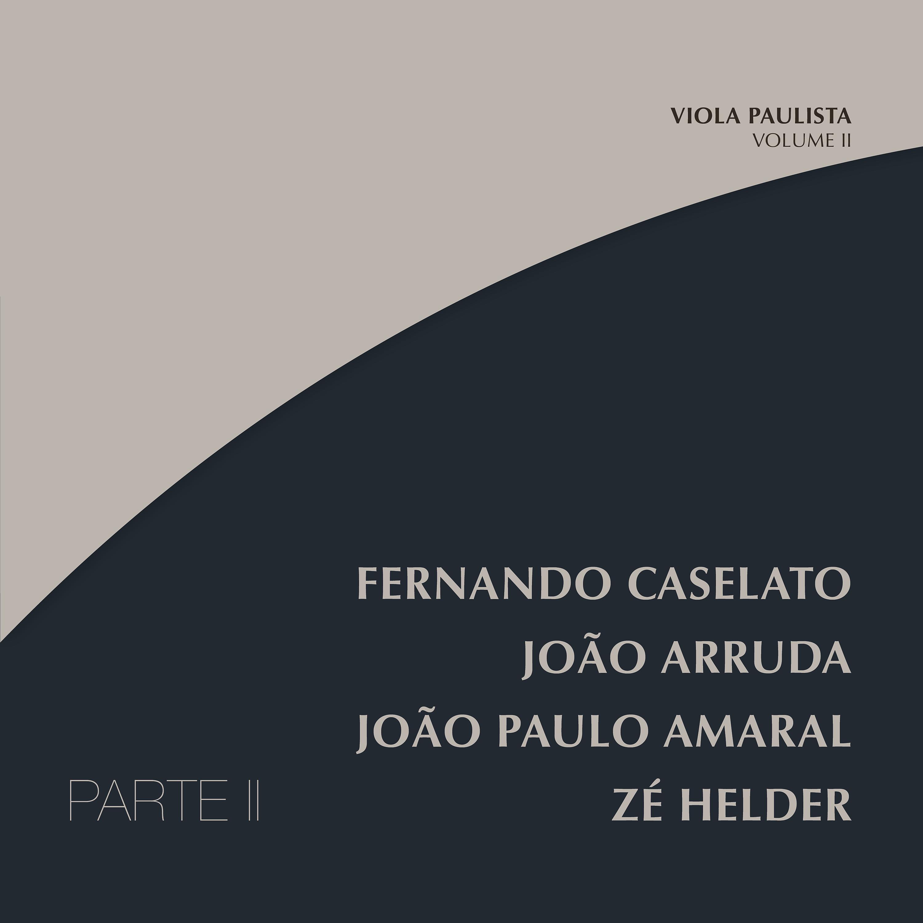 Постер альбома Viola Paulista, Vol. 2 - Parte 2