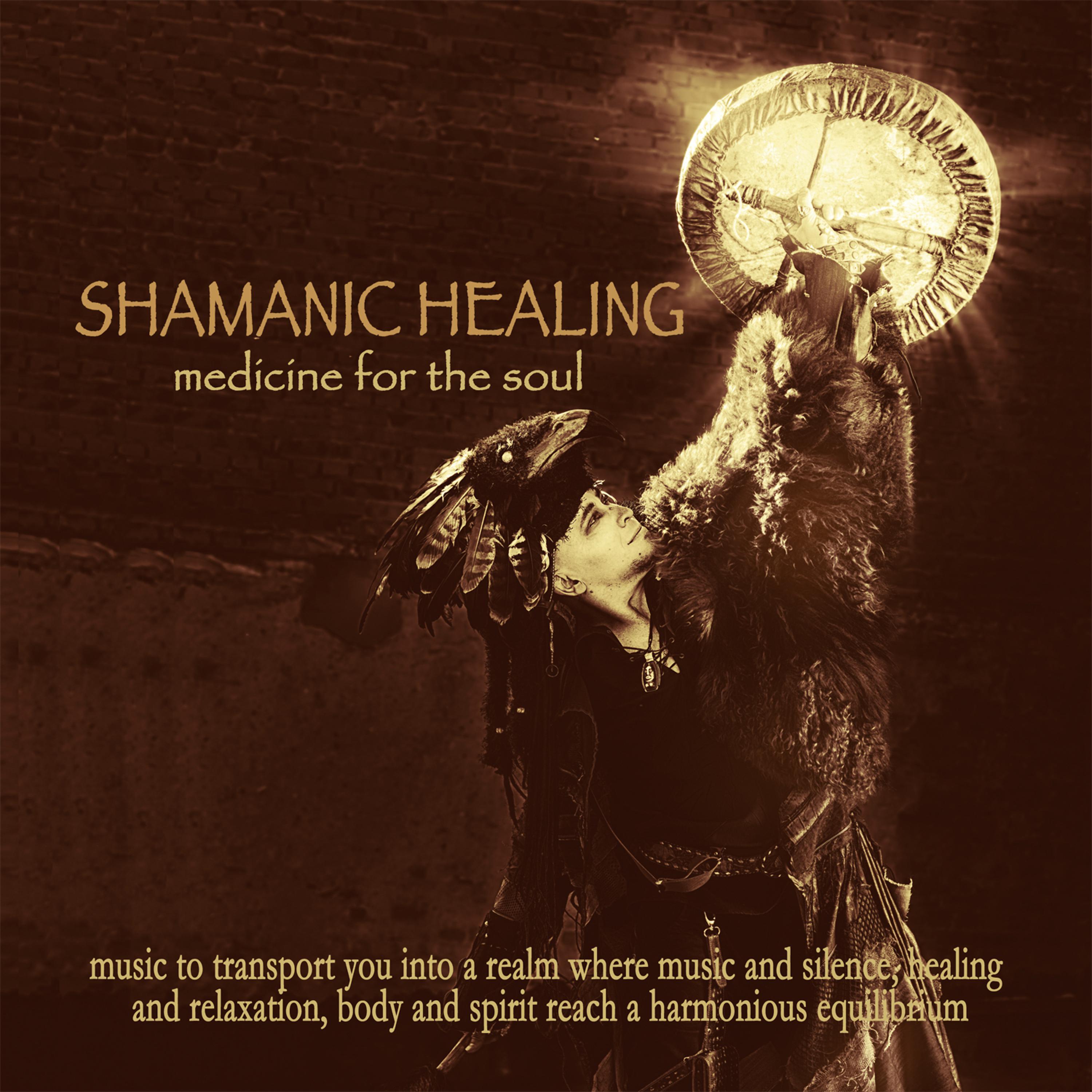 Постер альбома Shamanic Healing: Medicine for the Soul