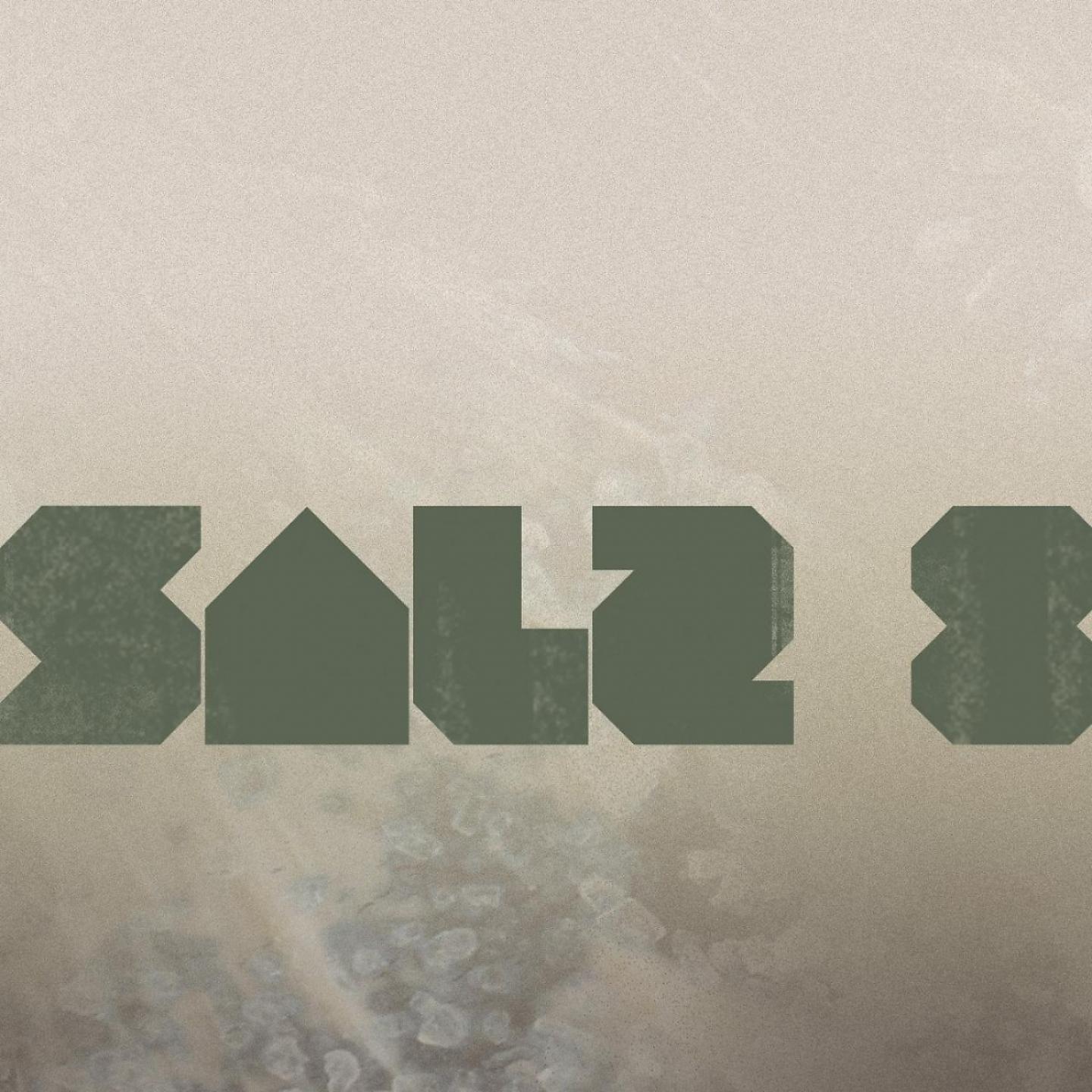 Постер альбома Salz 8