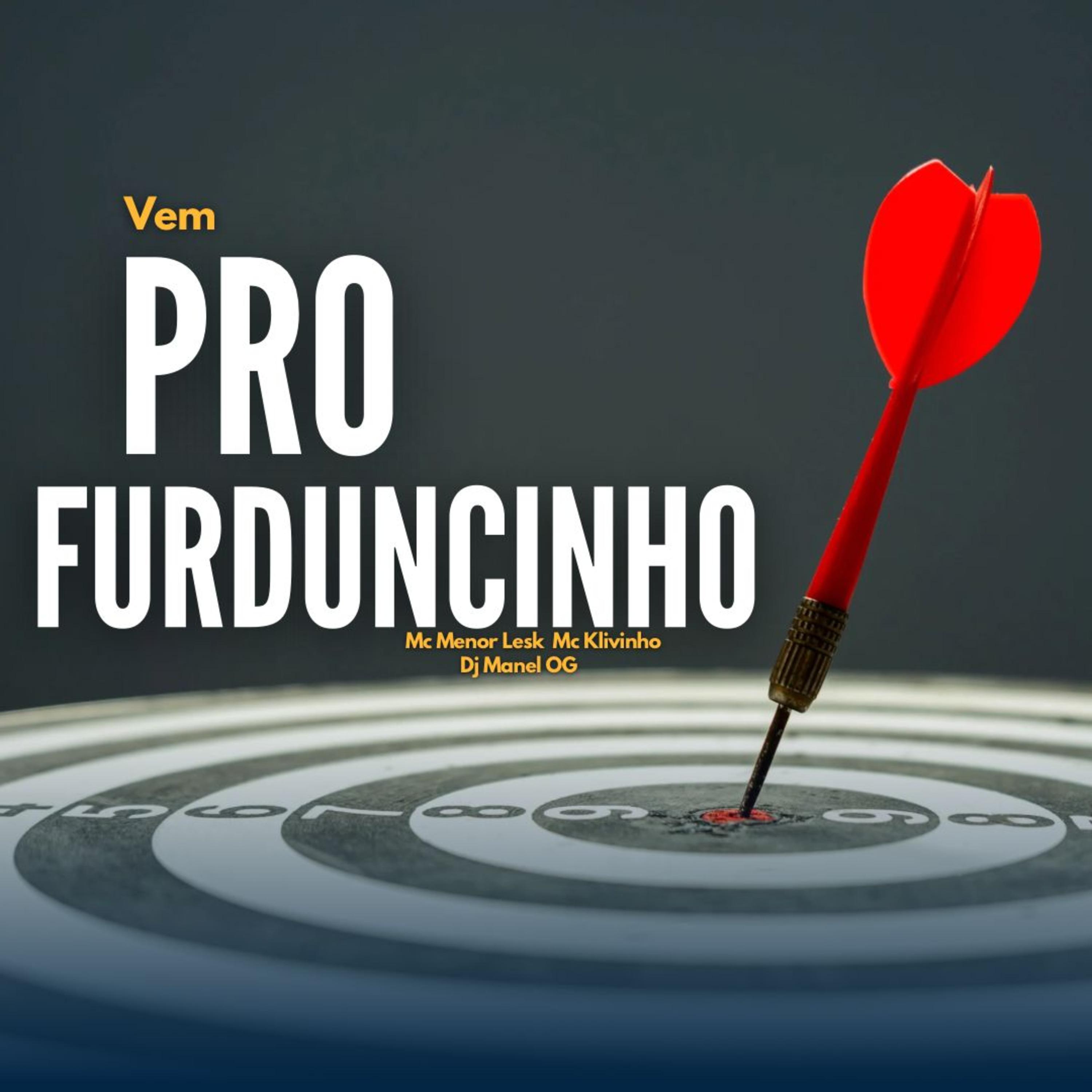 Постер альбома Vem pro Furduncinho