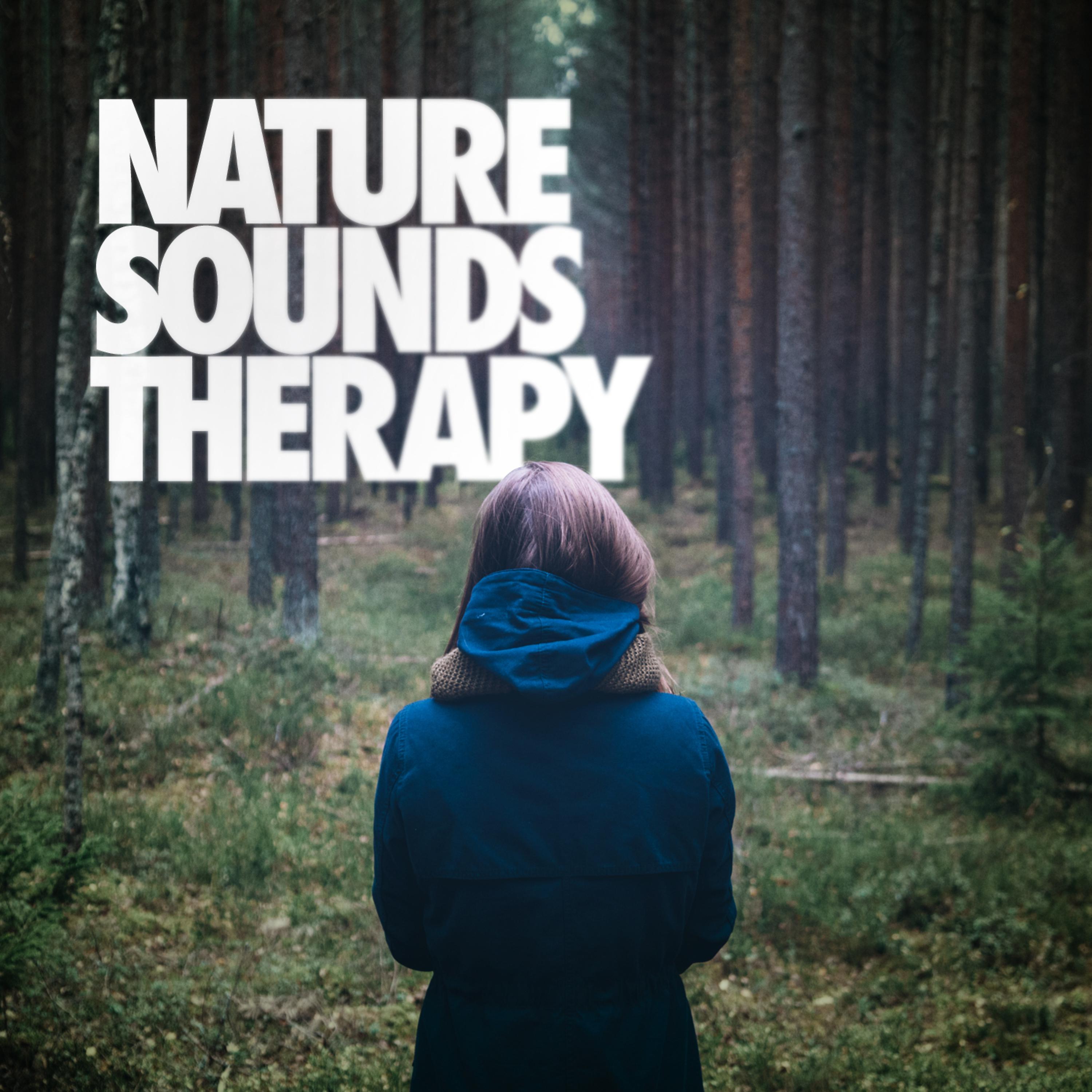 Постер альбома Nature Sounds Therapy