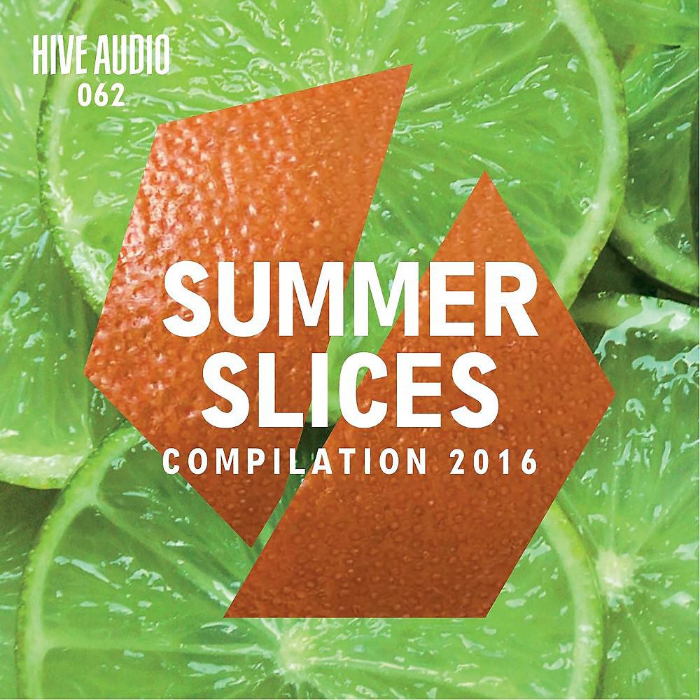 Постер альбома Hive Audio - Summer Slices 2016