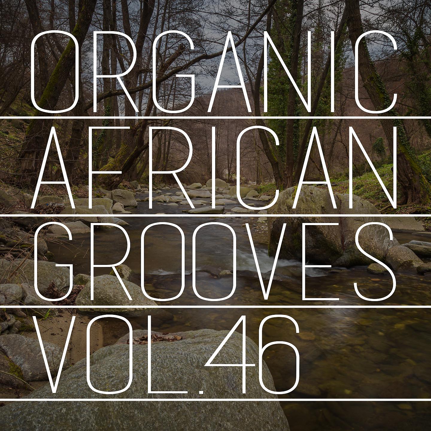 Постер альбома Organic African Grooves, Vol.46