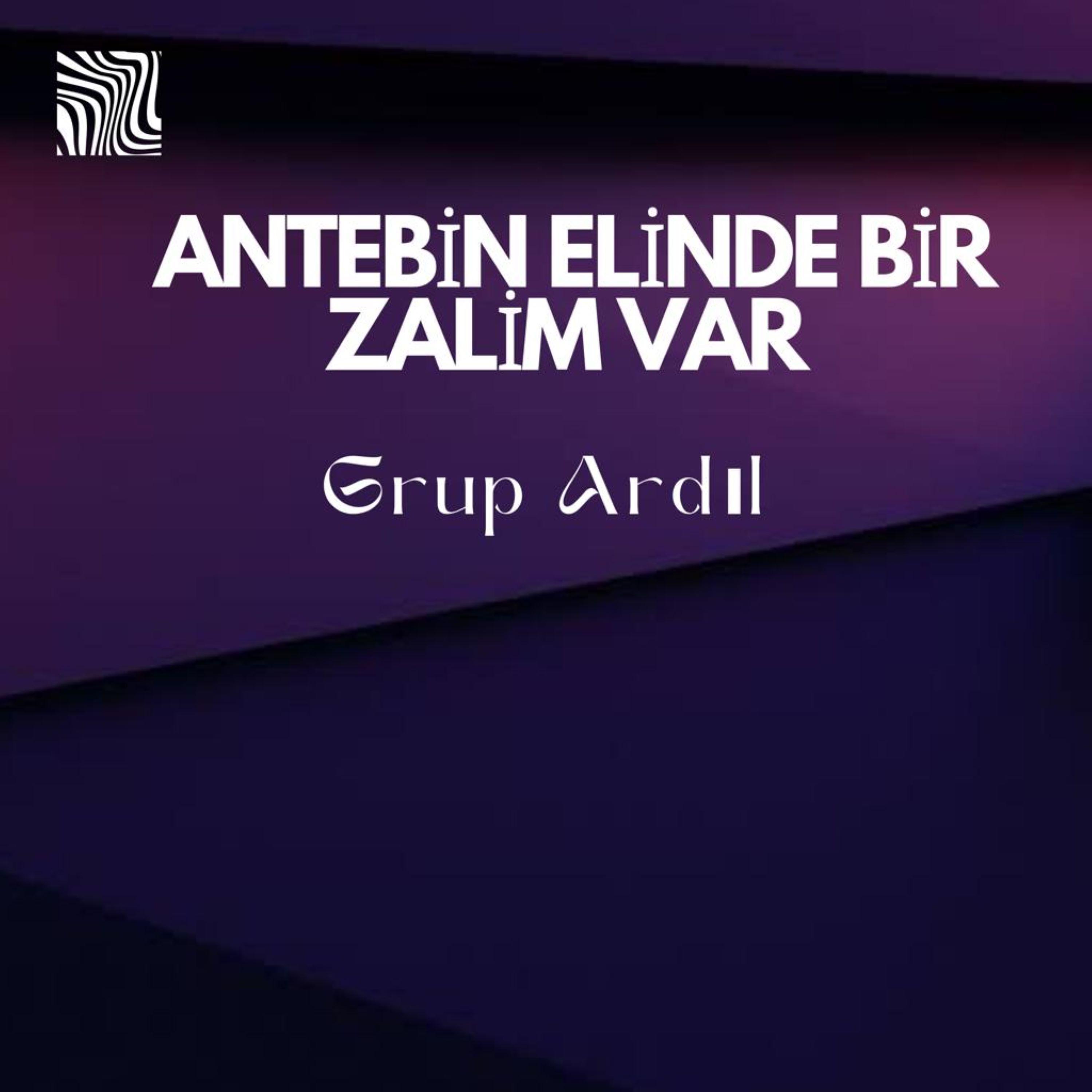 Постер альбома Antebin Elinde Bir Zalim Var
