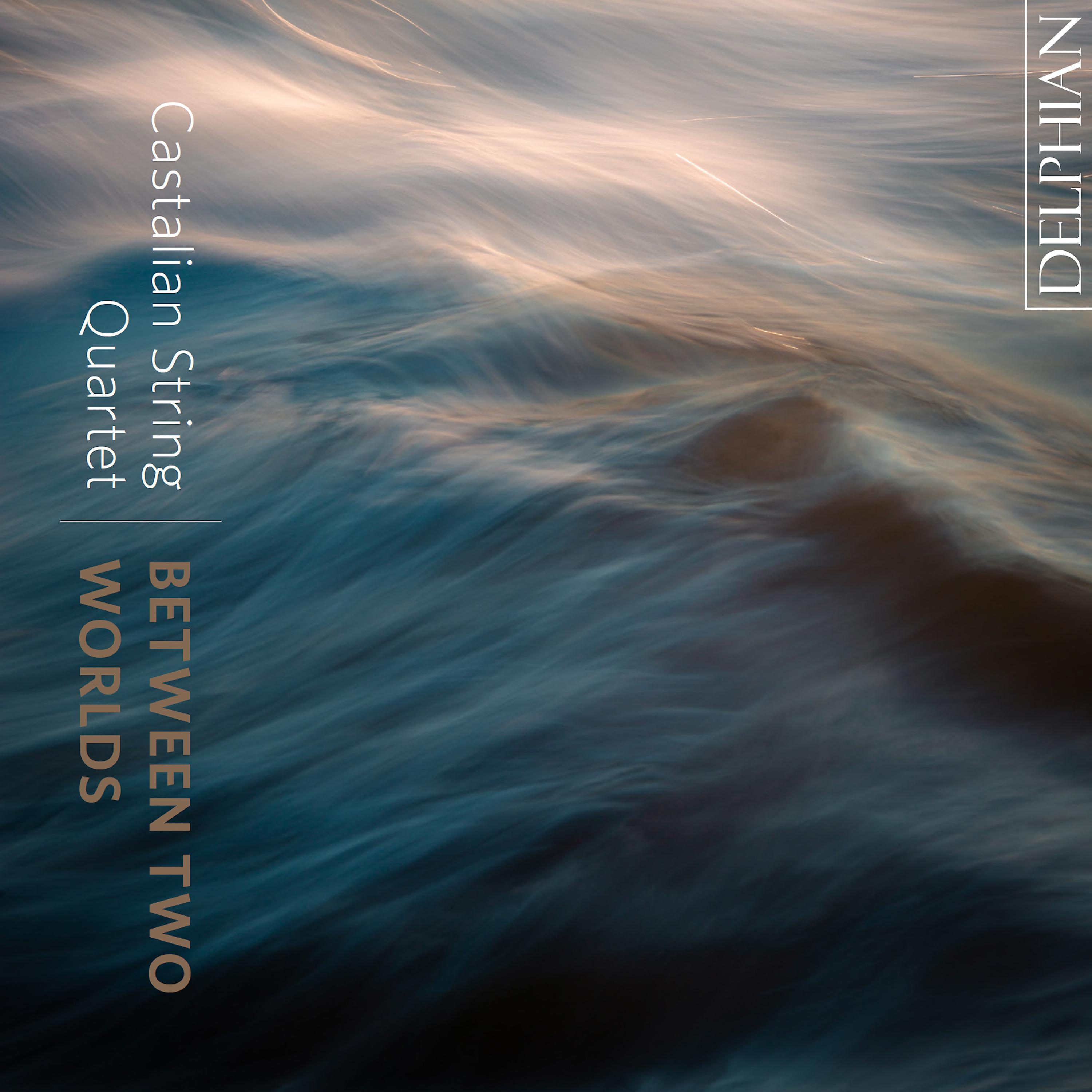 Постер альбома String Quartet No. 15 in A Minor, Op. 132: V. Allegro appassionato