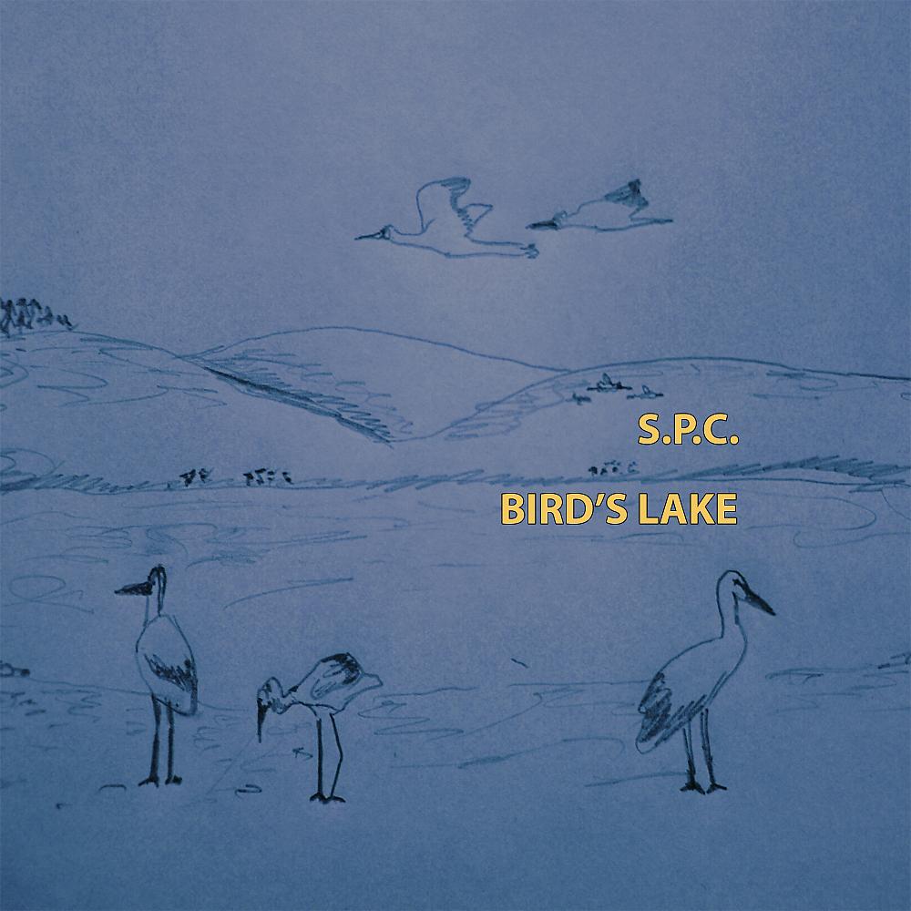 Постер альбома Bird's Lake