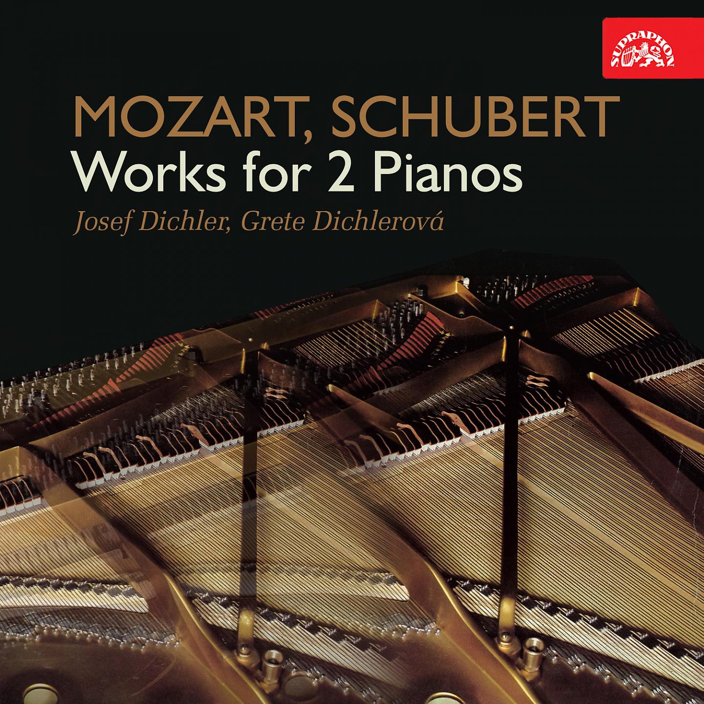 Постер альбома Mozart, Schubert: Works for 2 Pianos