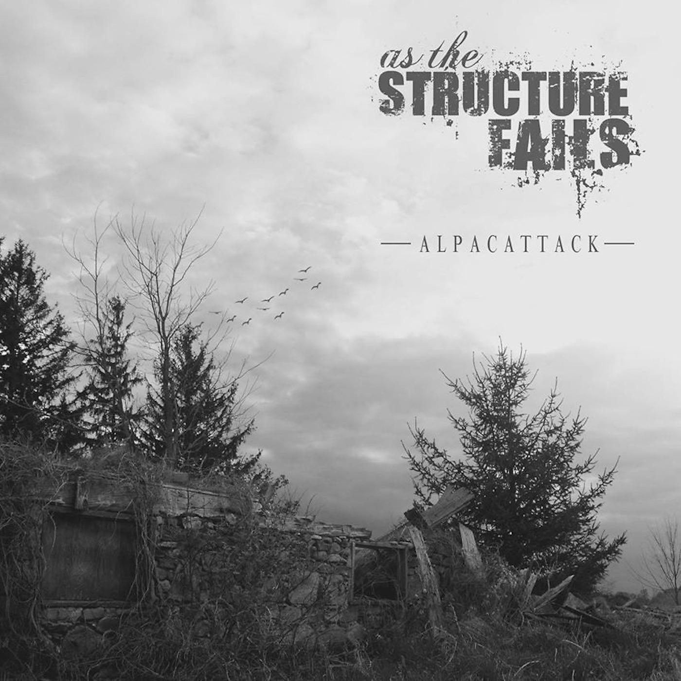 Постер альбома Alpacattack