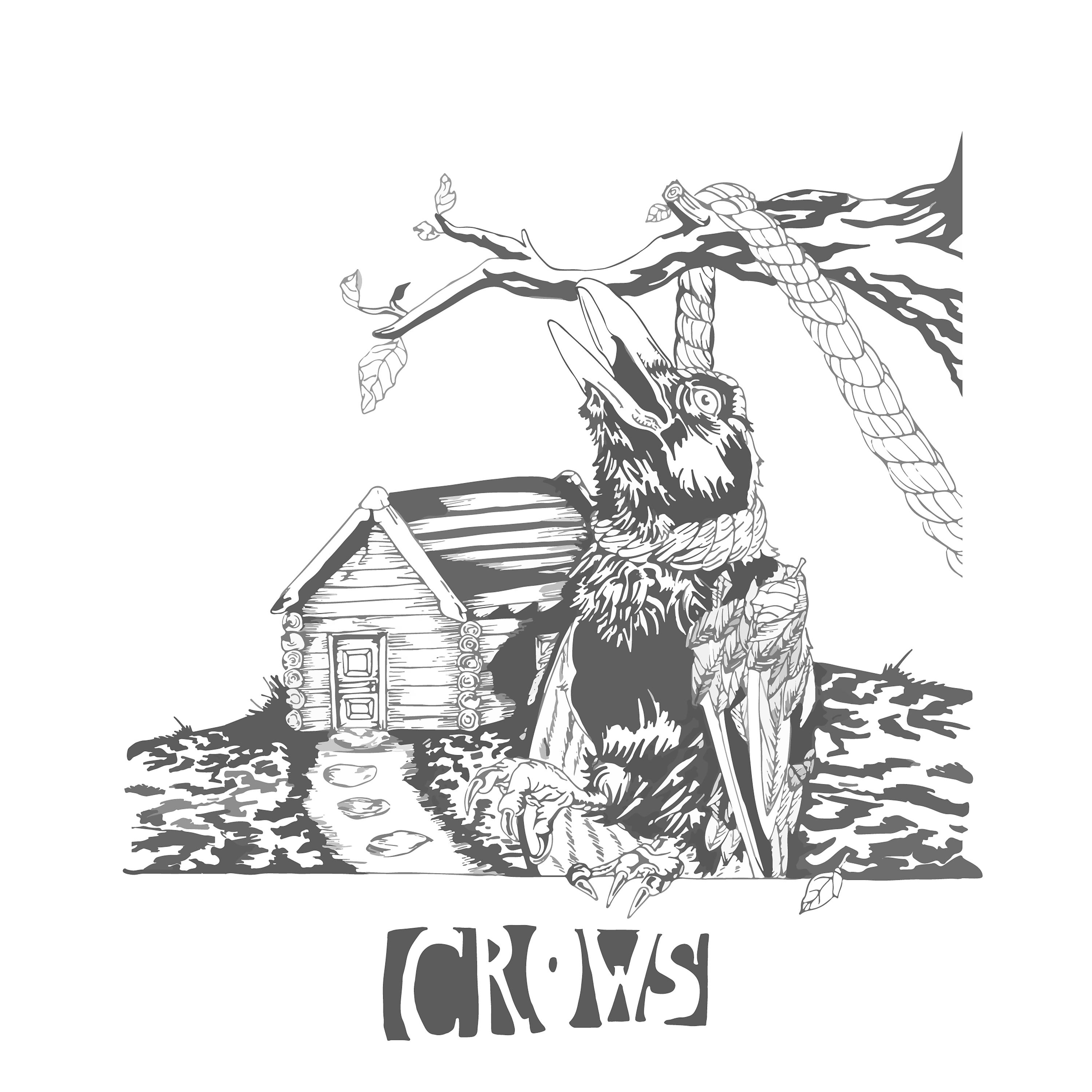 Постер альбома Crows