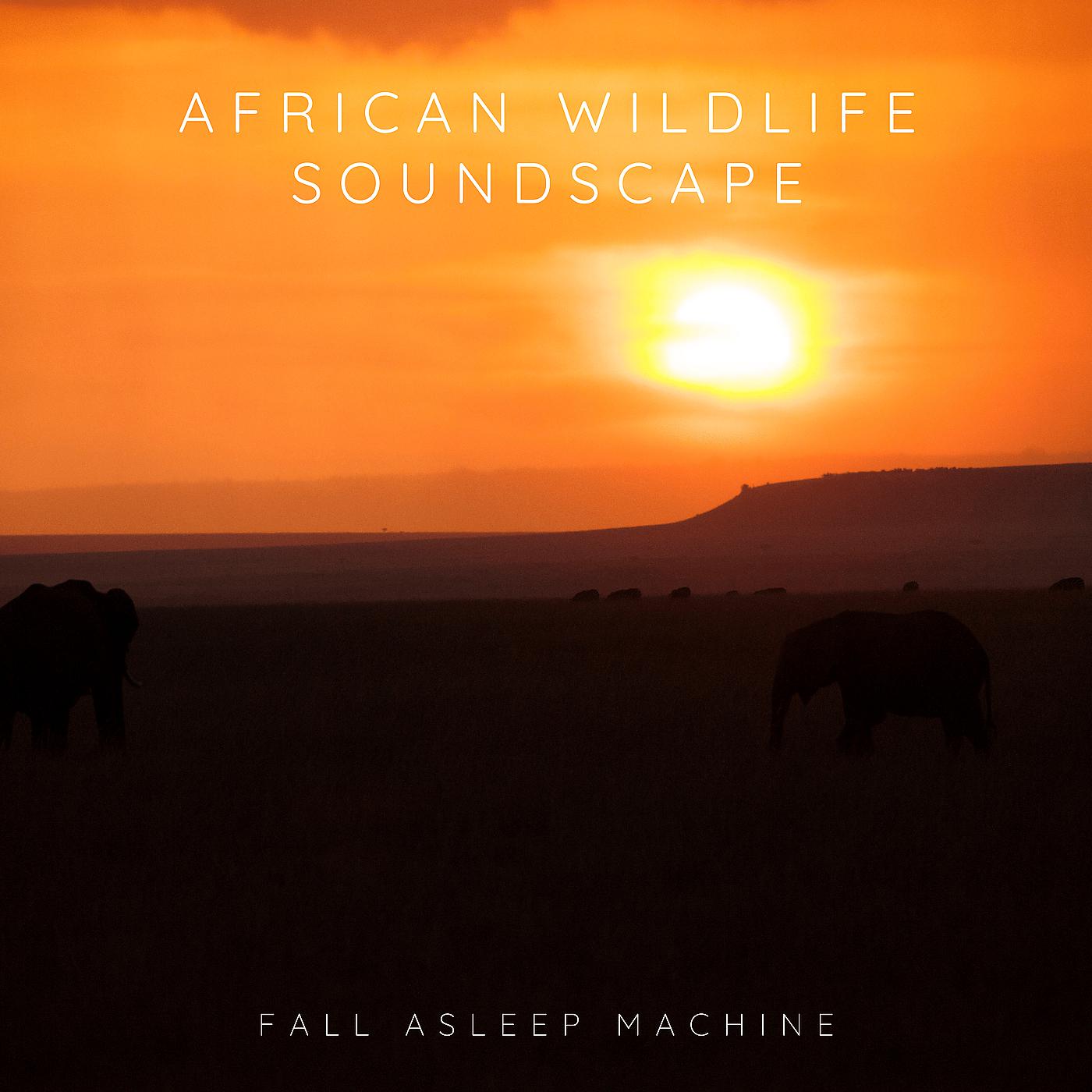 Постер альбома African Wildlife Soundscape
