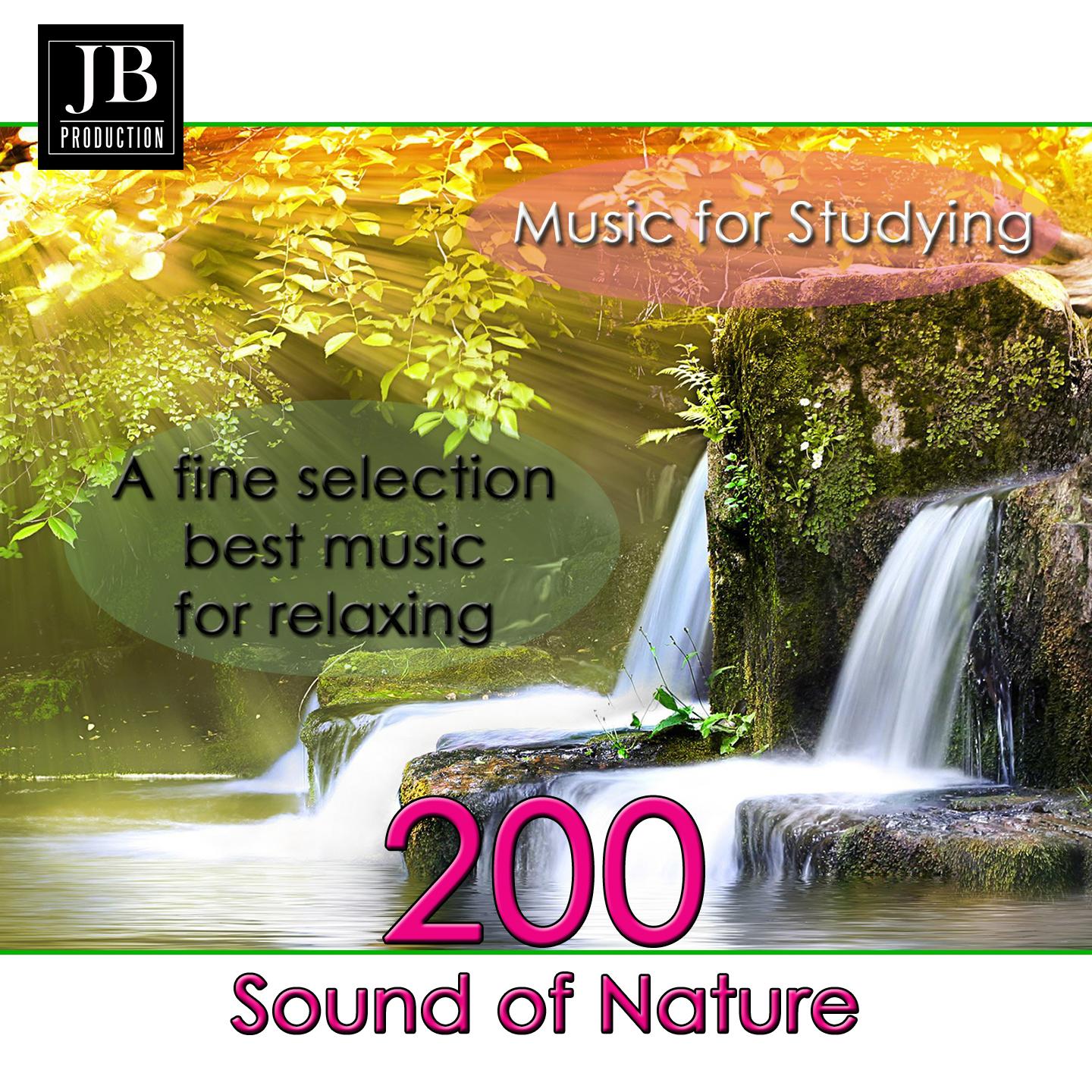 Постер альбома 200 Music for Studyng (Sound of Nature)