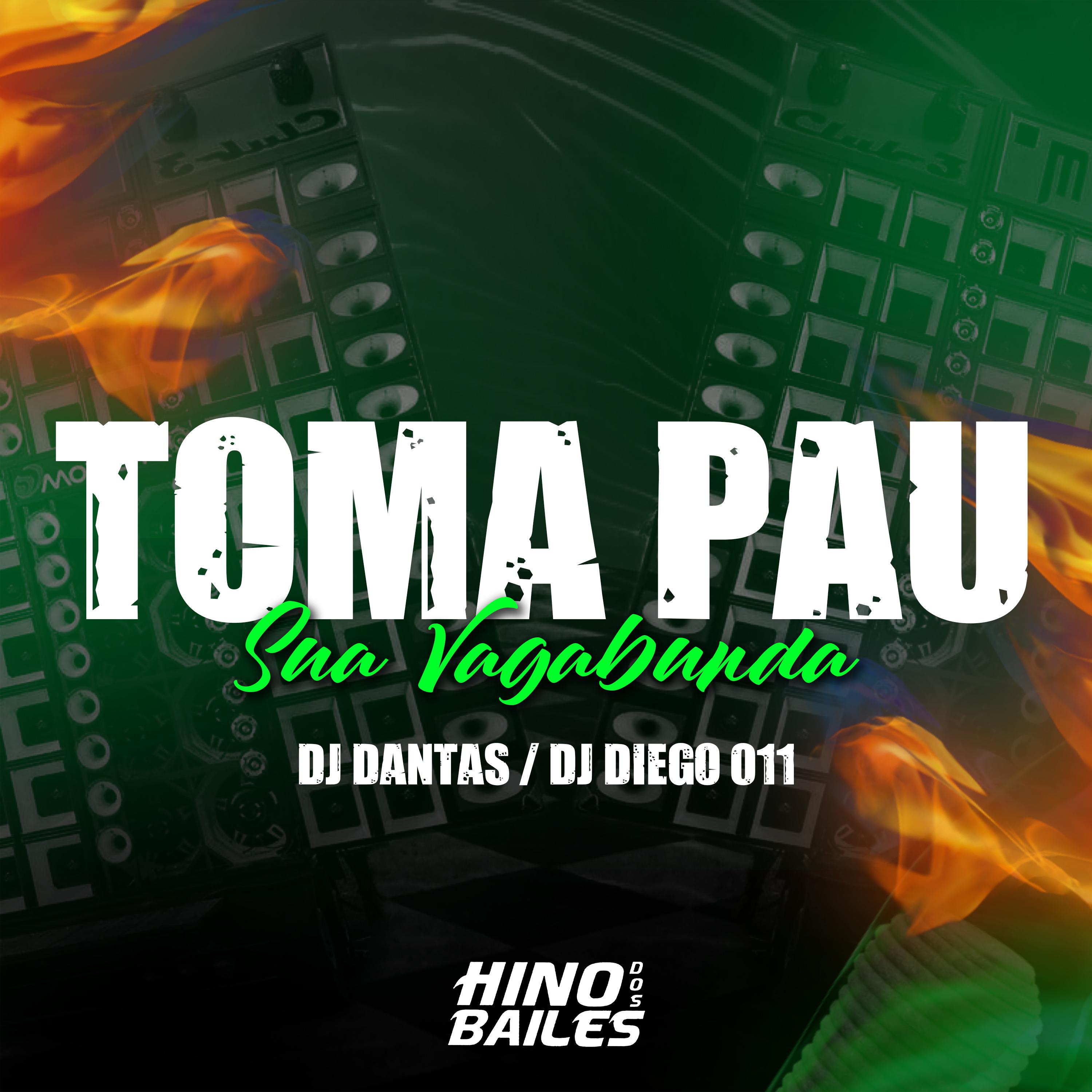 Постер альбома Toma Pau Sua Vagabunda