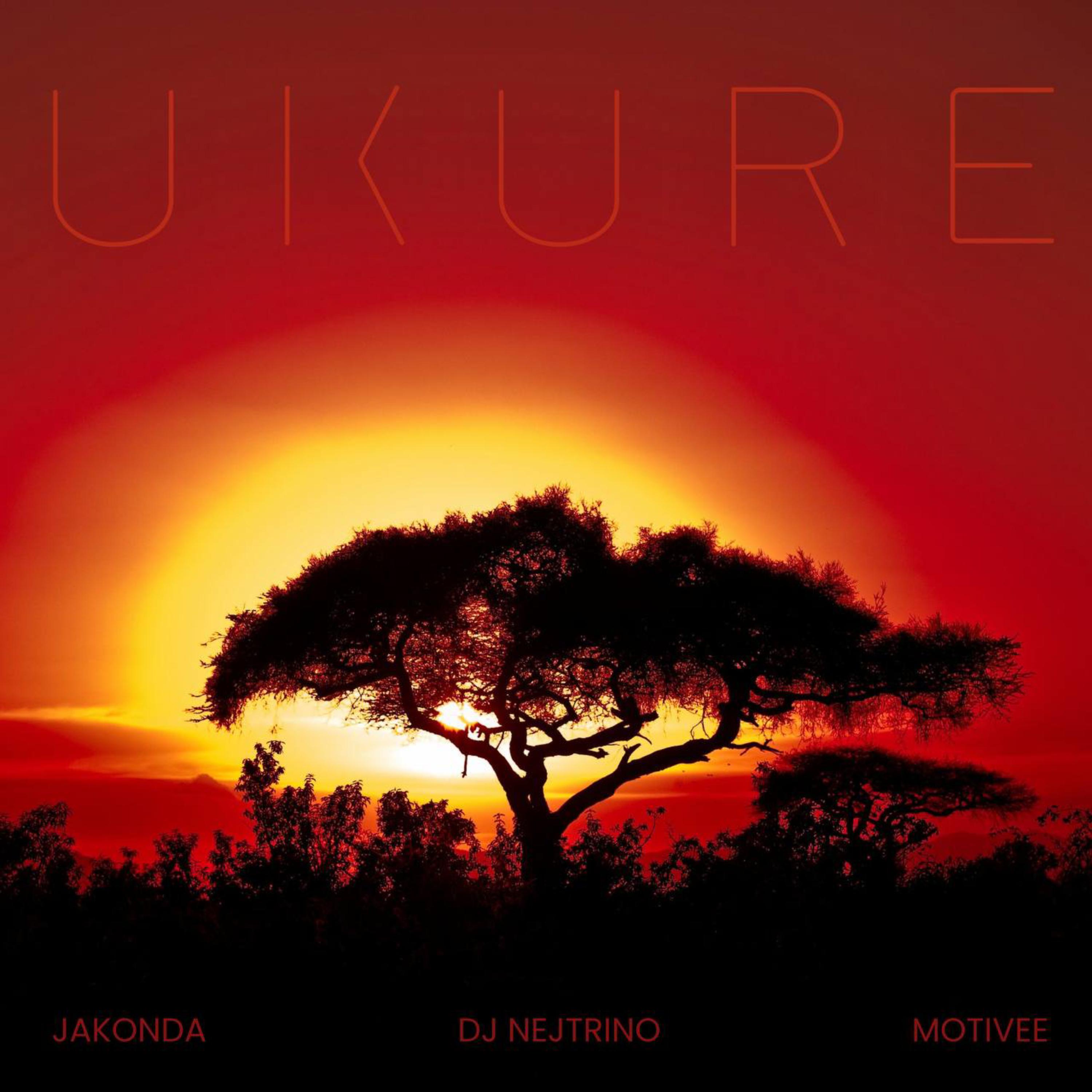 Постер альбома Ukure