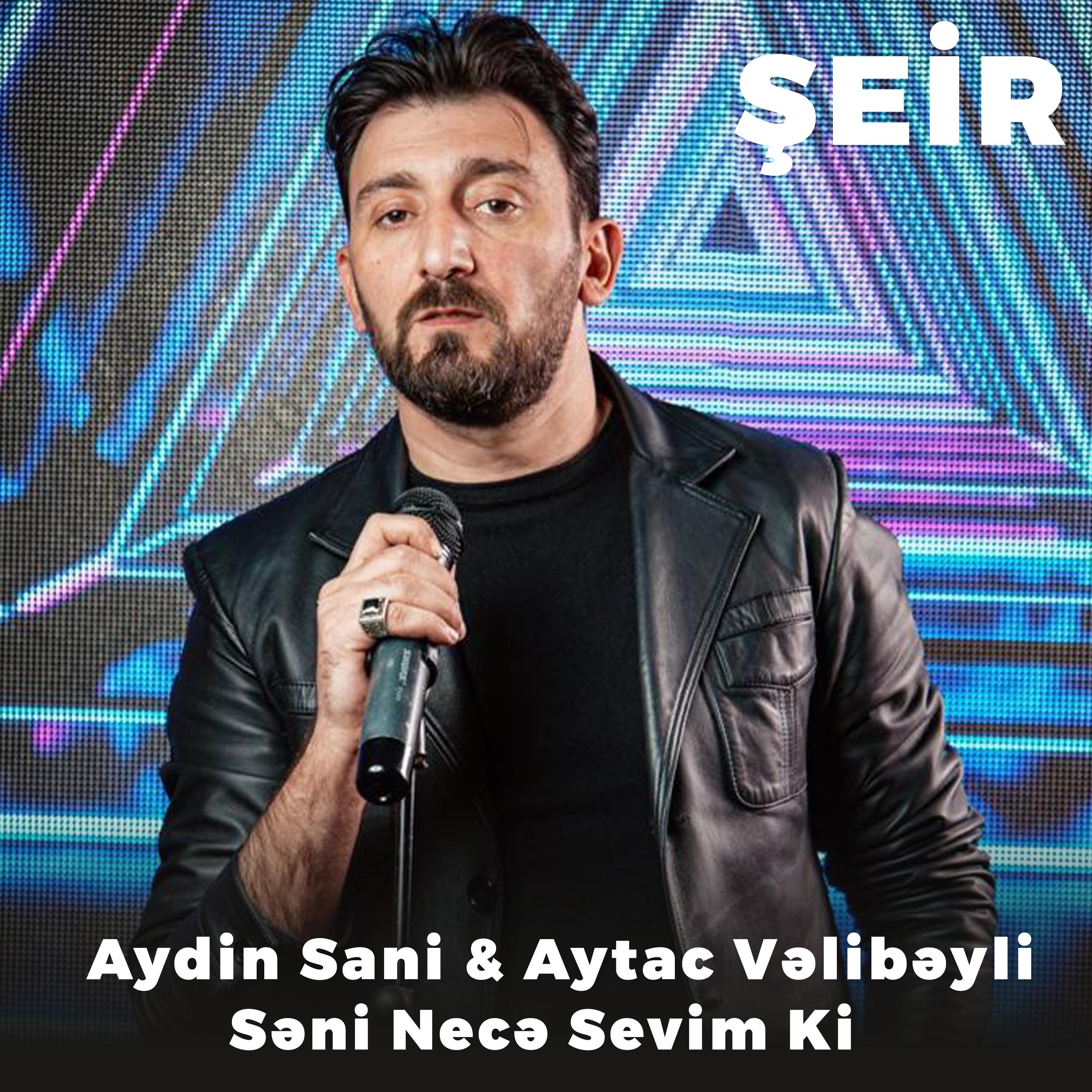 Постер альбома Səni Necə Sevim Ki