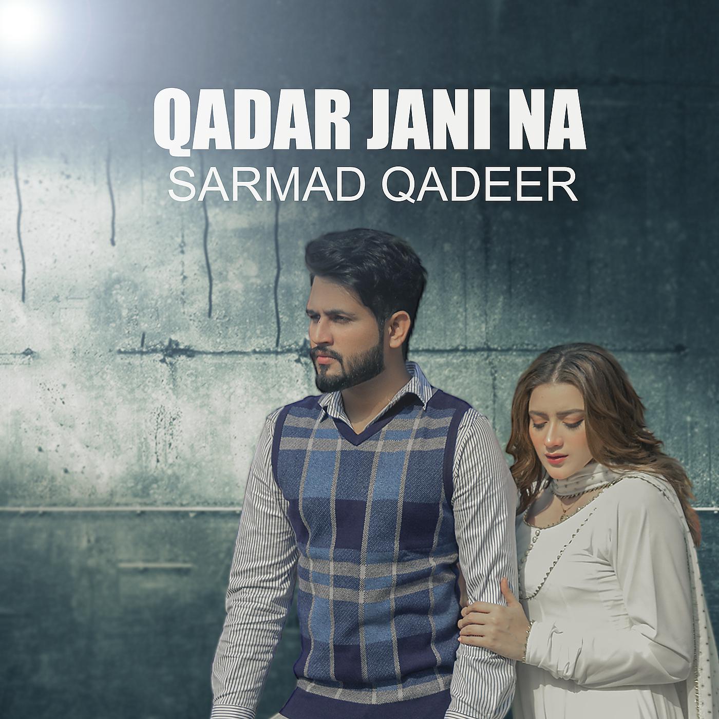 Постер альбома Qadar Jani Na
