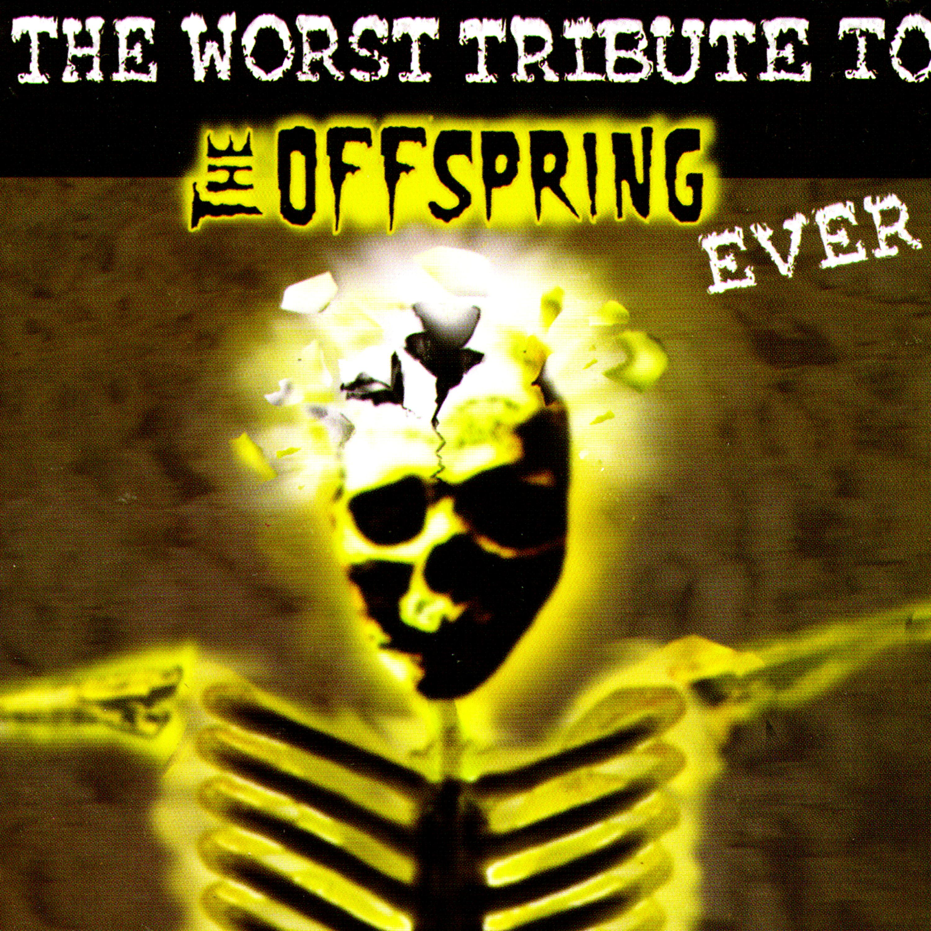 Постер альбома The Worst Tribute to the Offspring Ever