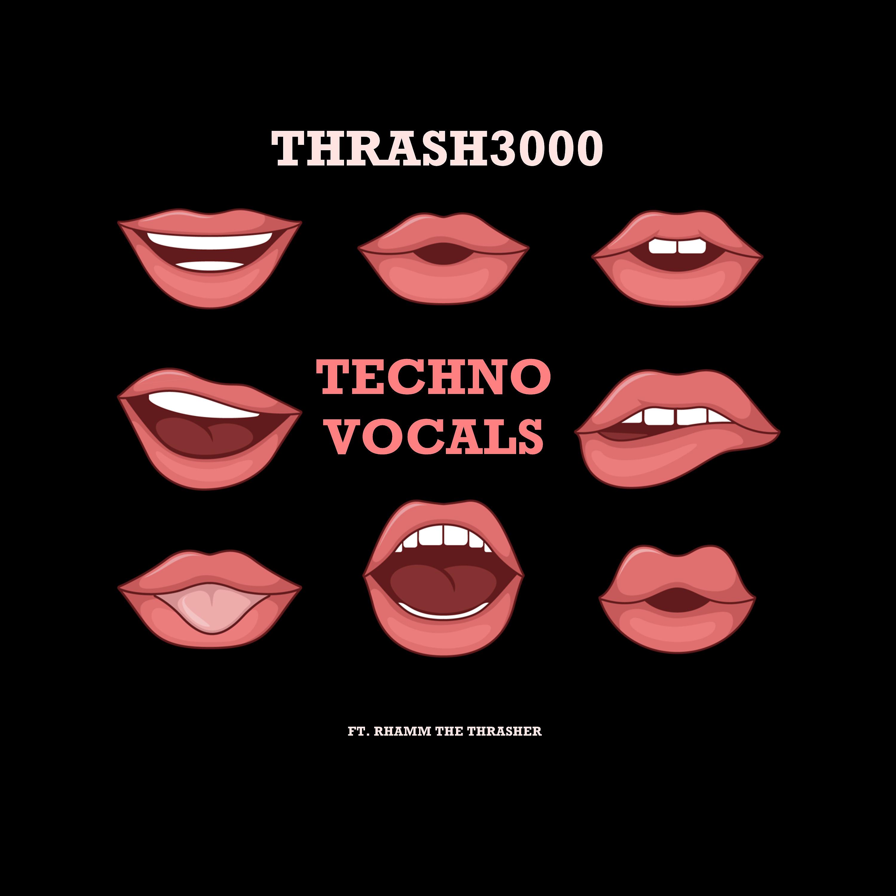 Постер альбома Techno Vocals