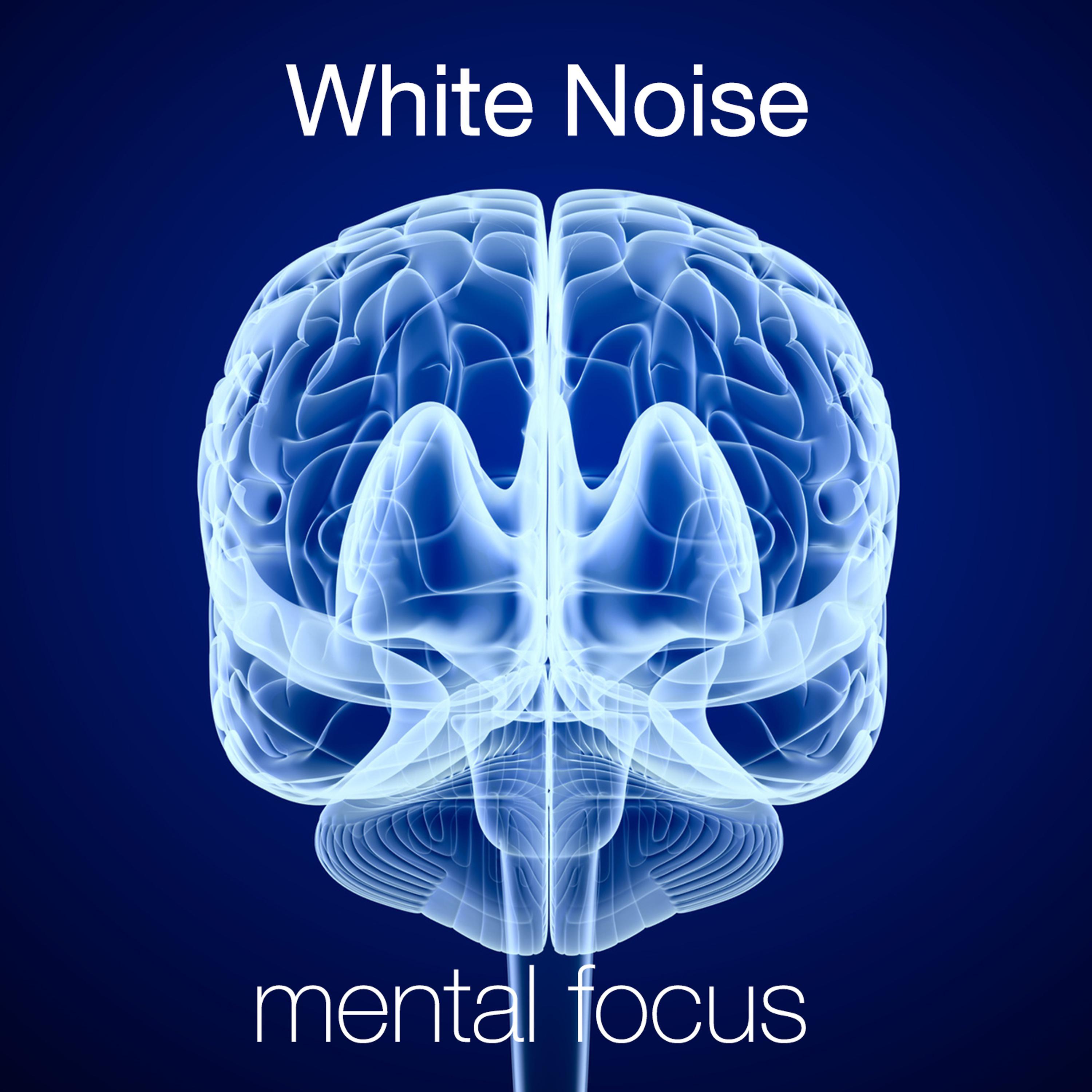 Постер альбома White Noise: Mental Focus