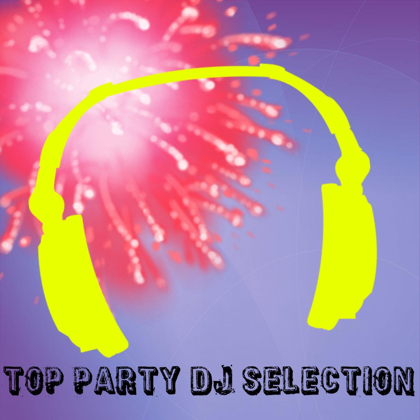 Постер альбома Top Party DJ Selection (50 Top Hits for Your Party)