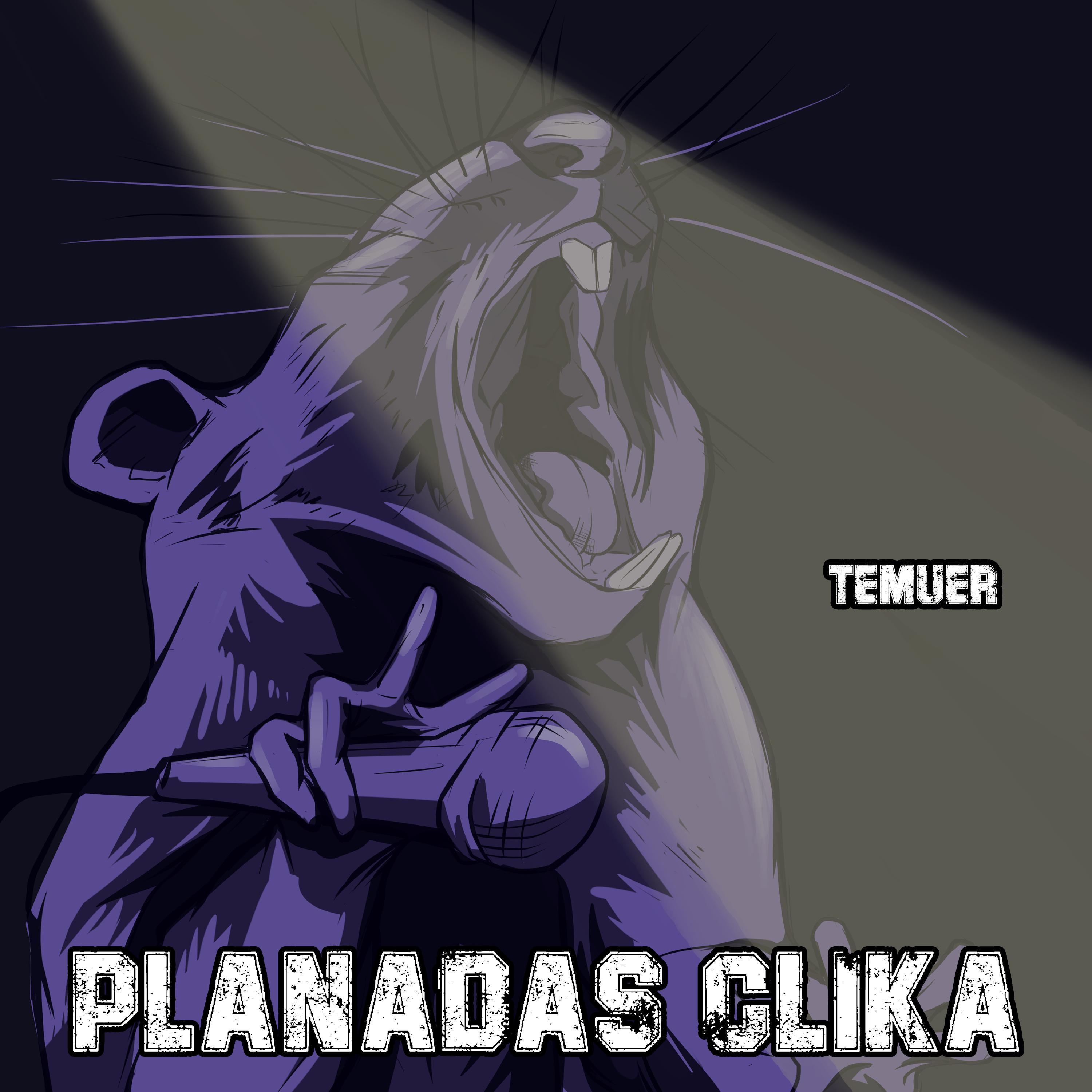 Постер альбома Temuer
