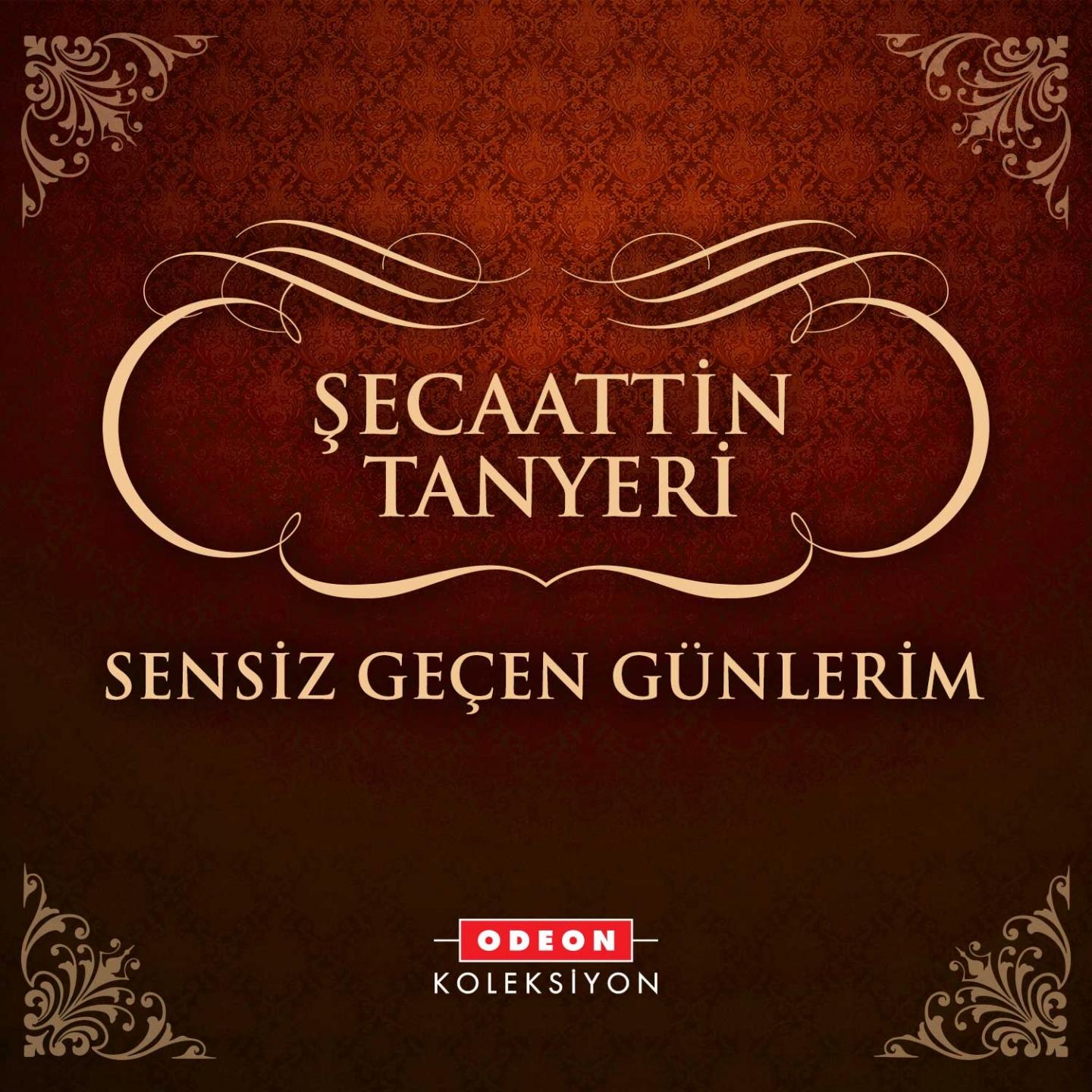 Постер альбома Sensiz Geçen Günlerim