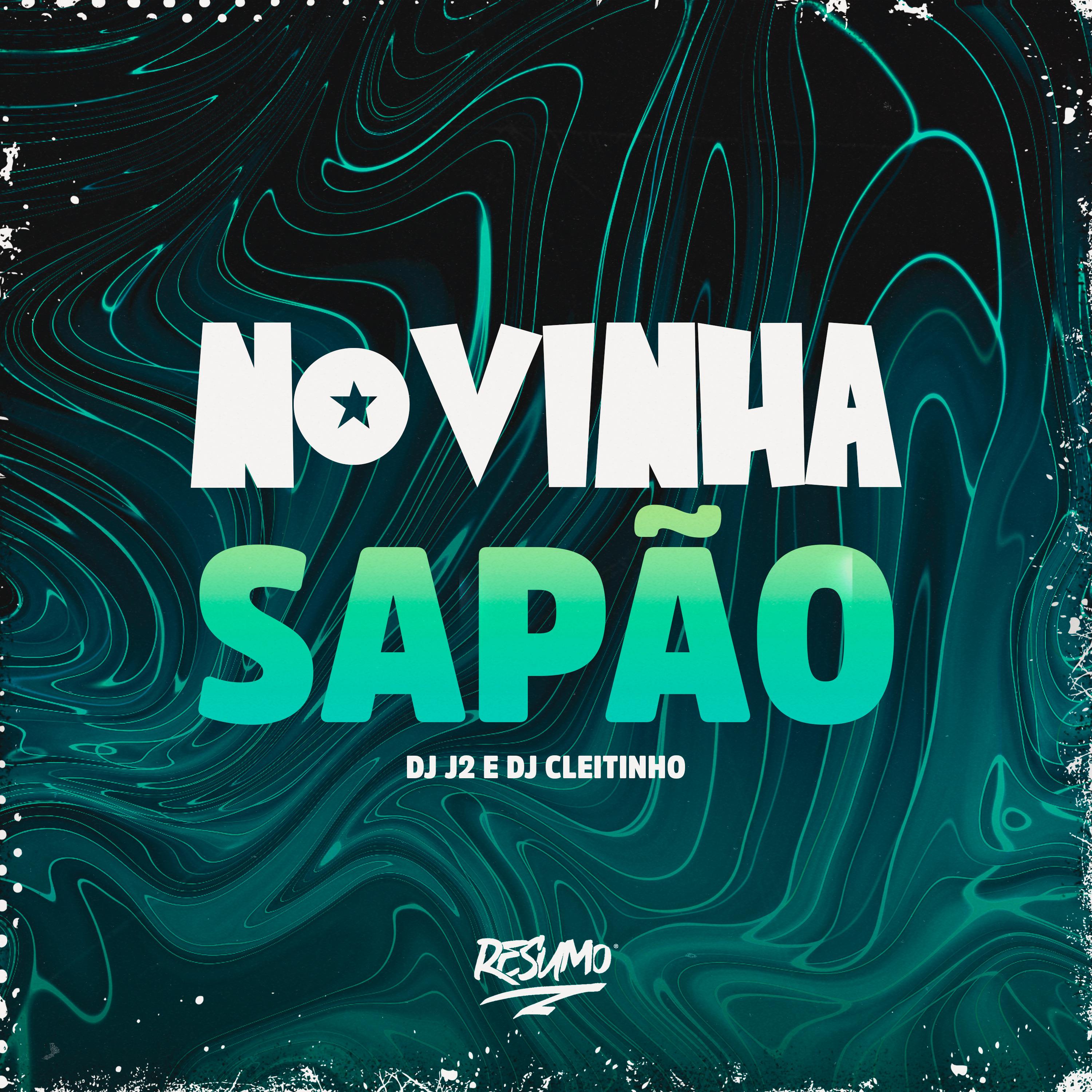 Постер альбома Novinha Sapão