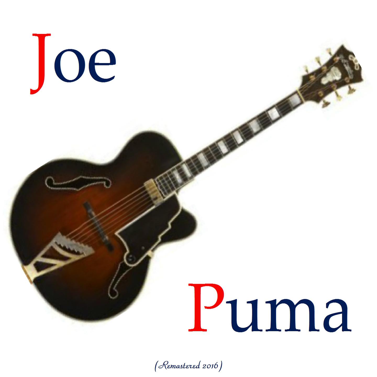 Постер альбома Joe Puma