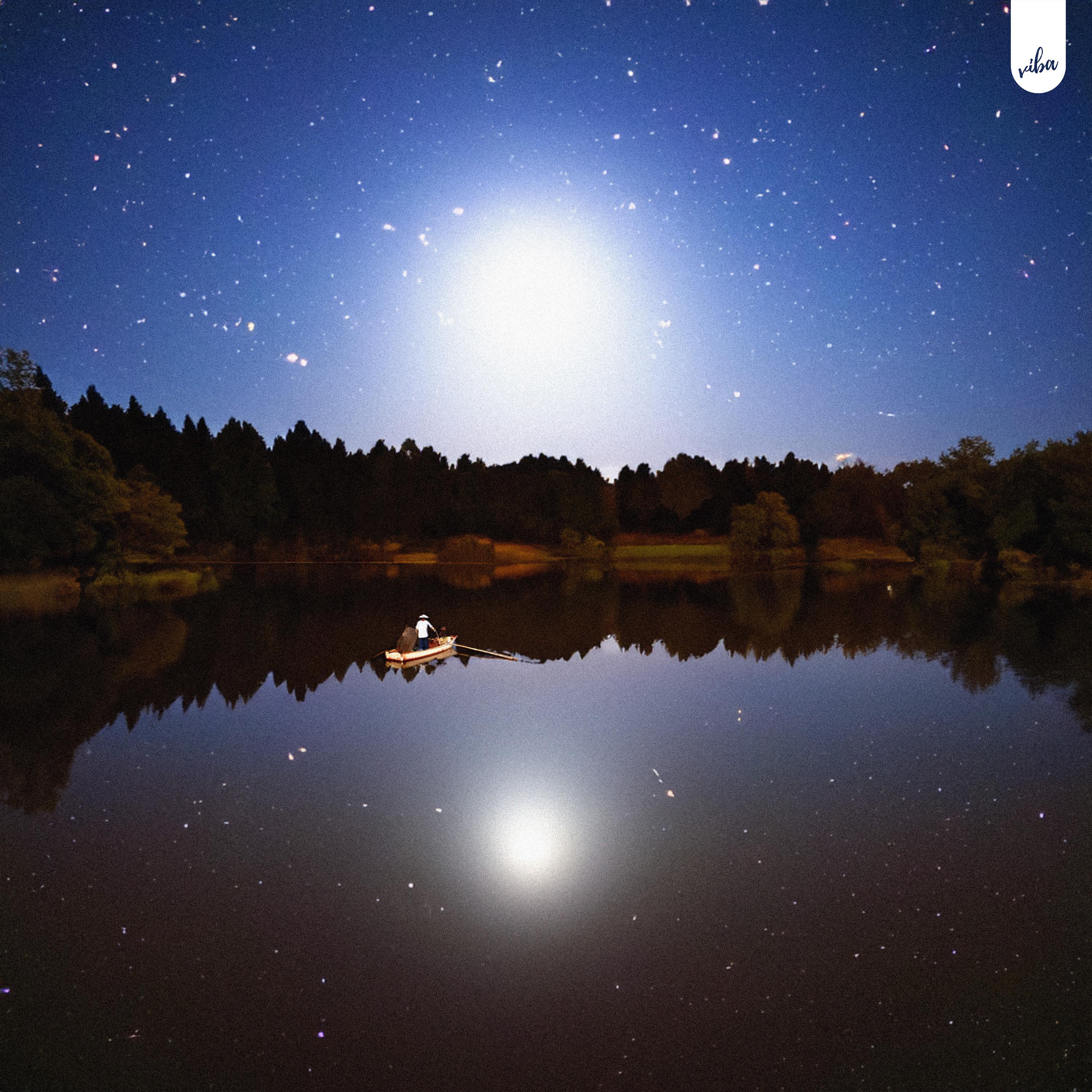 Постер альбома moonlight fishing