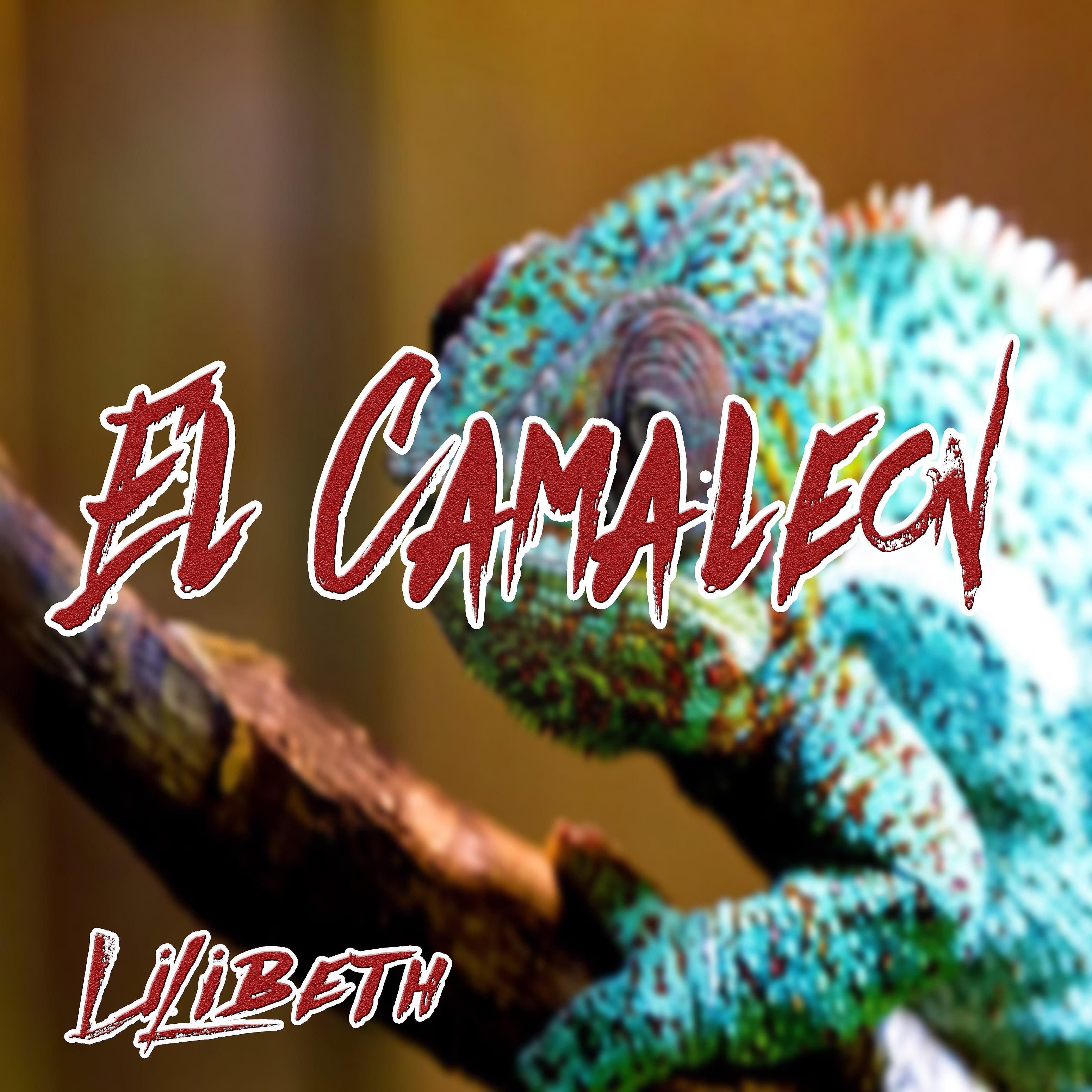 Постер альбома El Camaleon