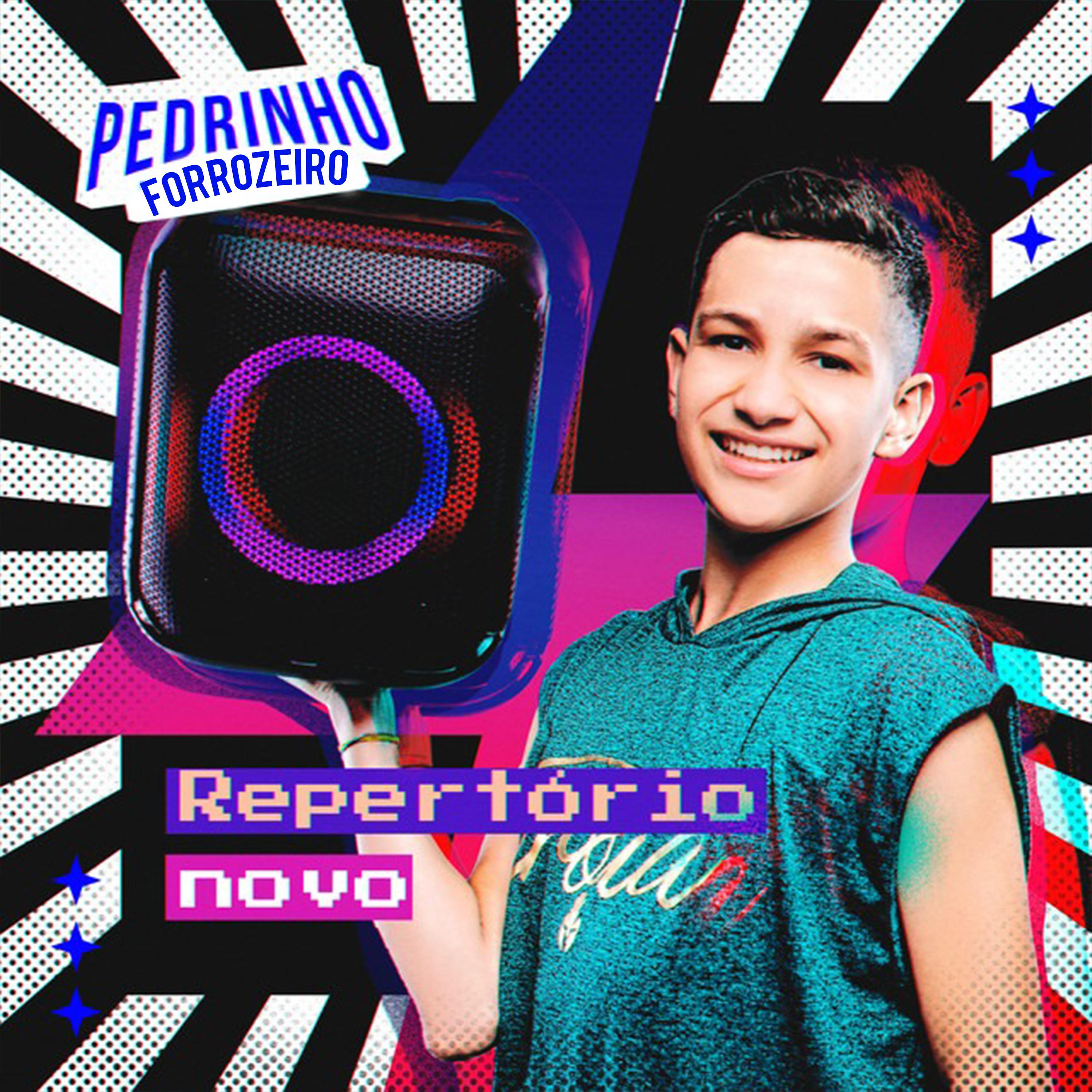 Постер альбома Repertório Novo