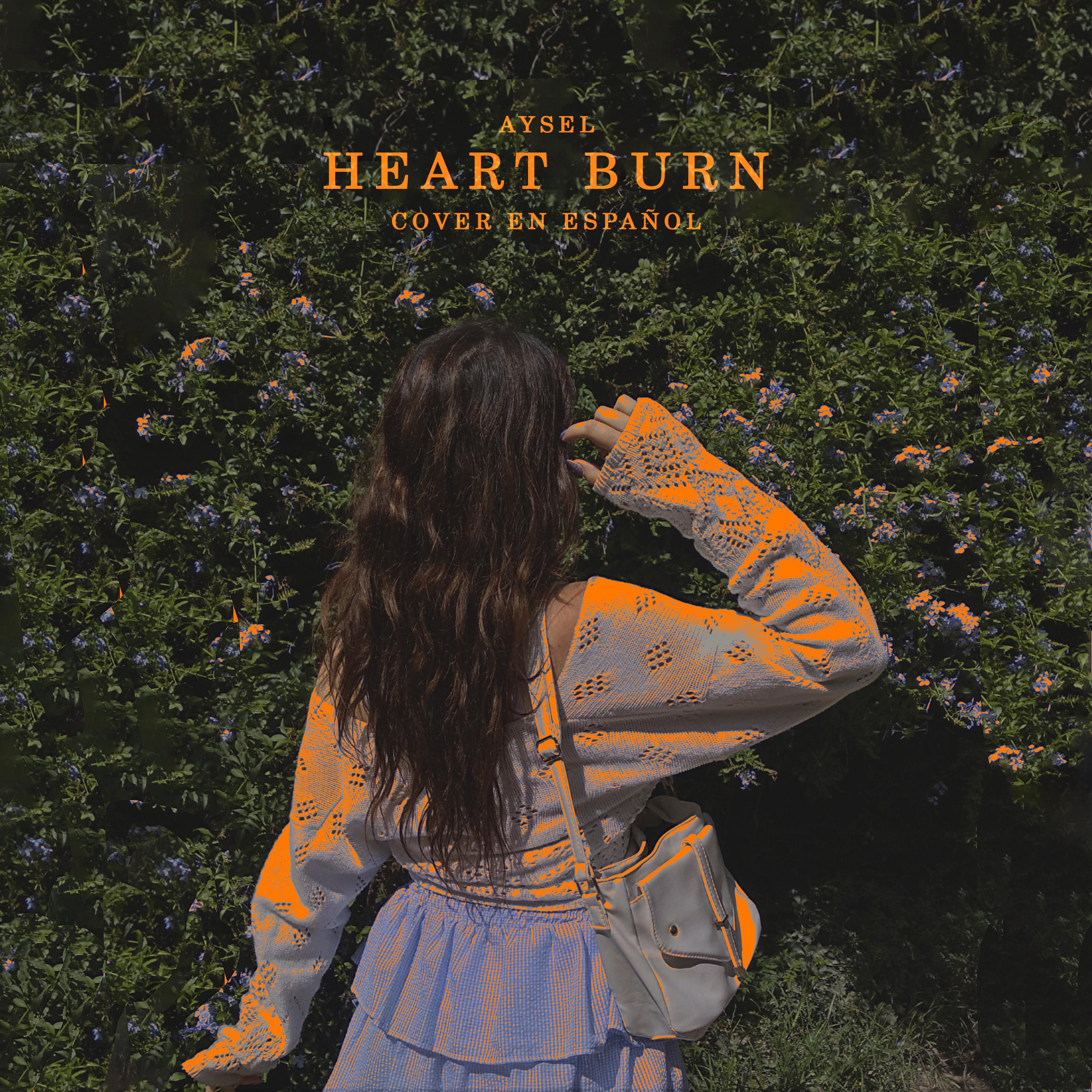 Постер альбома Heart Burn
