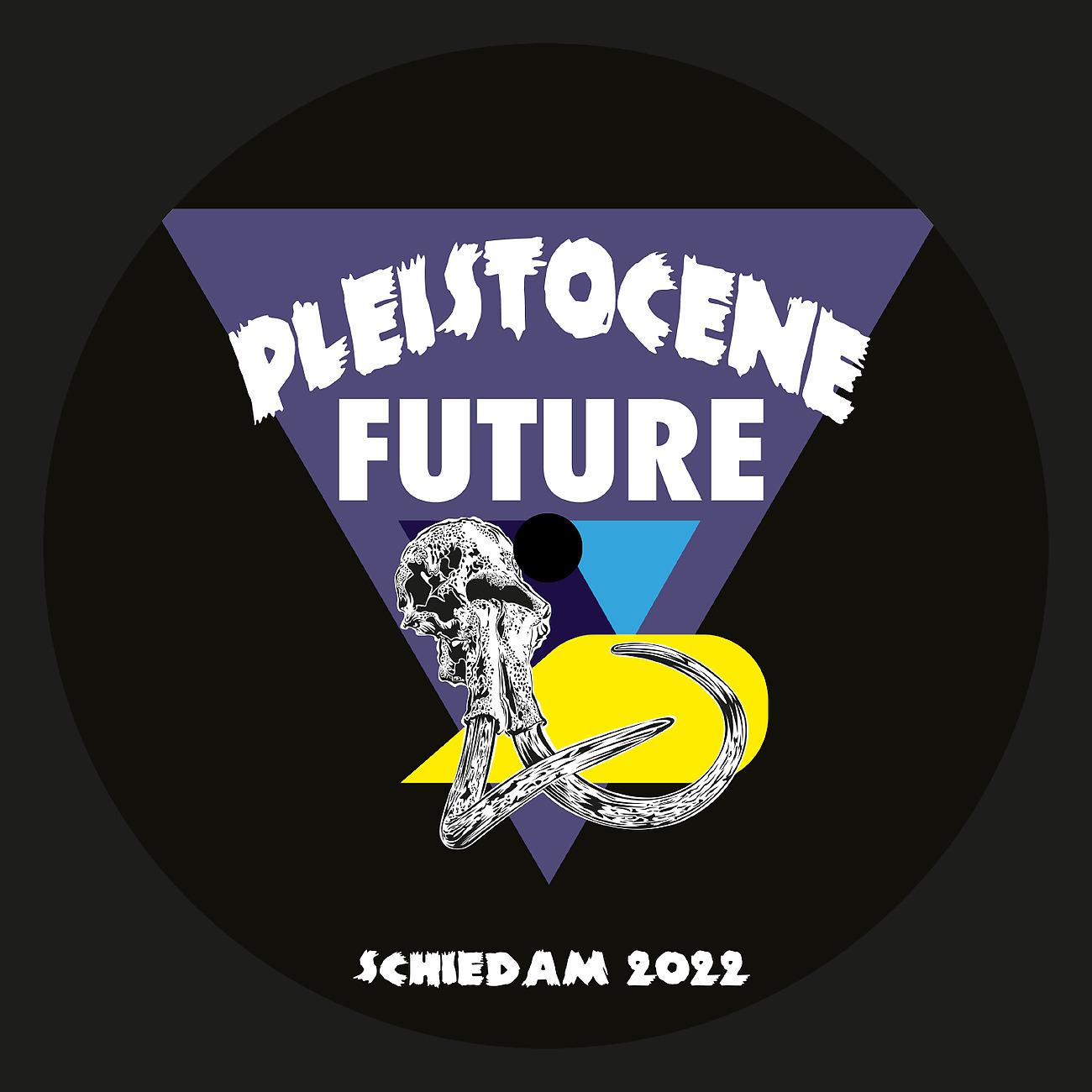 Постер альбома Pleistocene Future 3