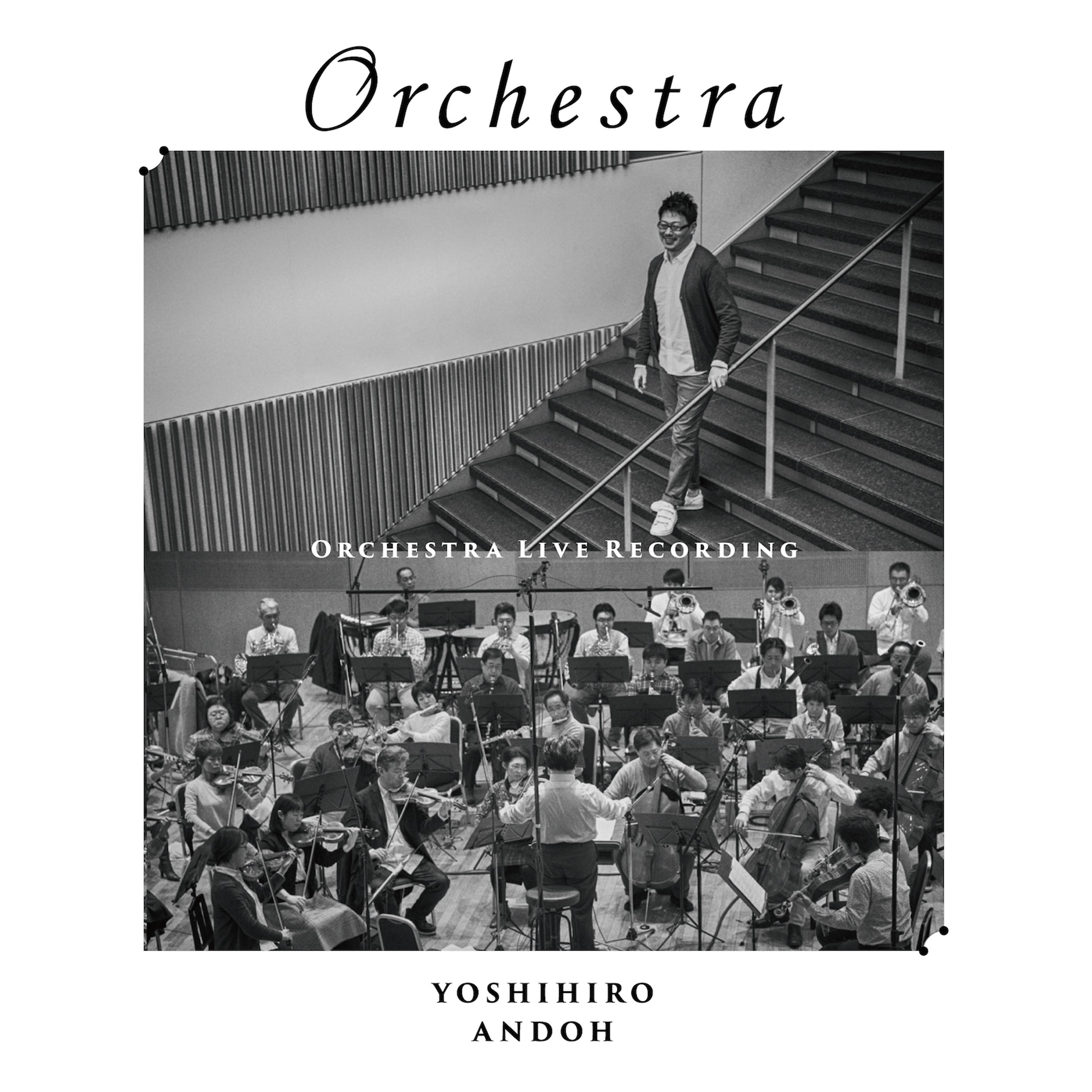 Постер альбома Orchestra