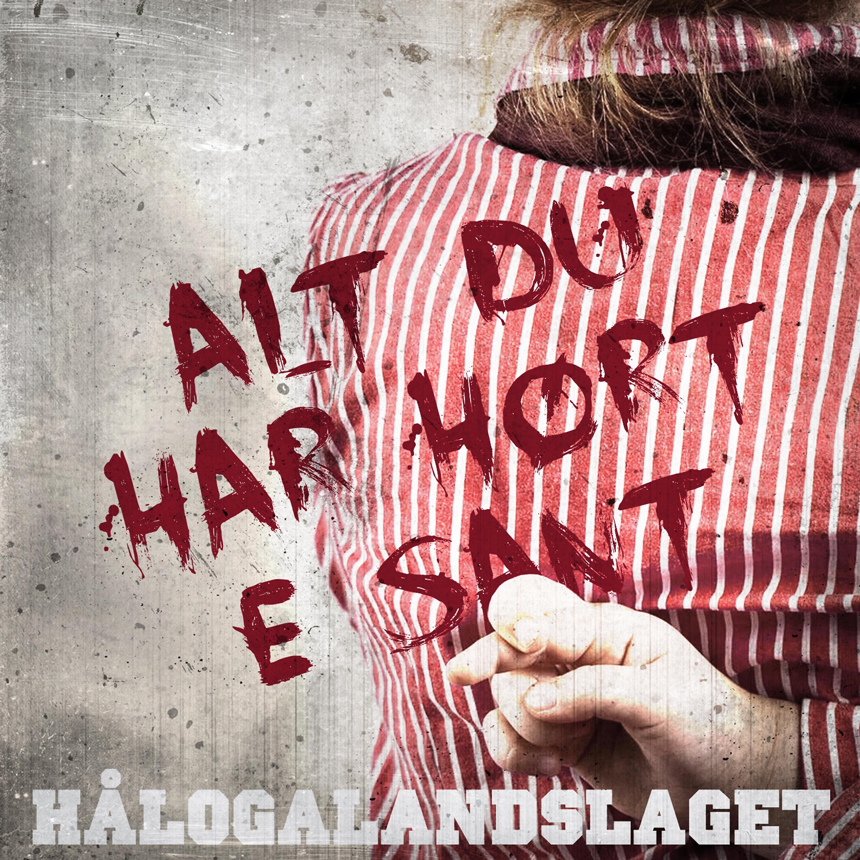 Постер альбома Alt Du Har Hørt Er Sant