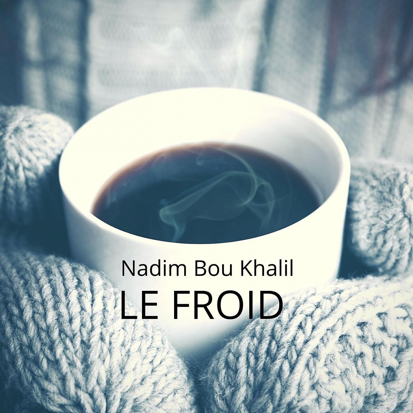 Постер альбома Le Froid
