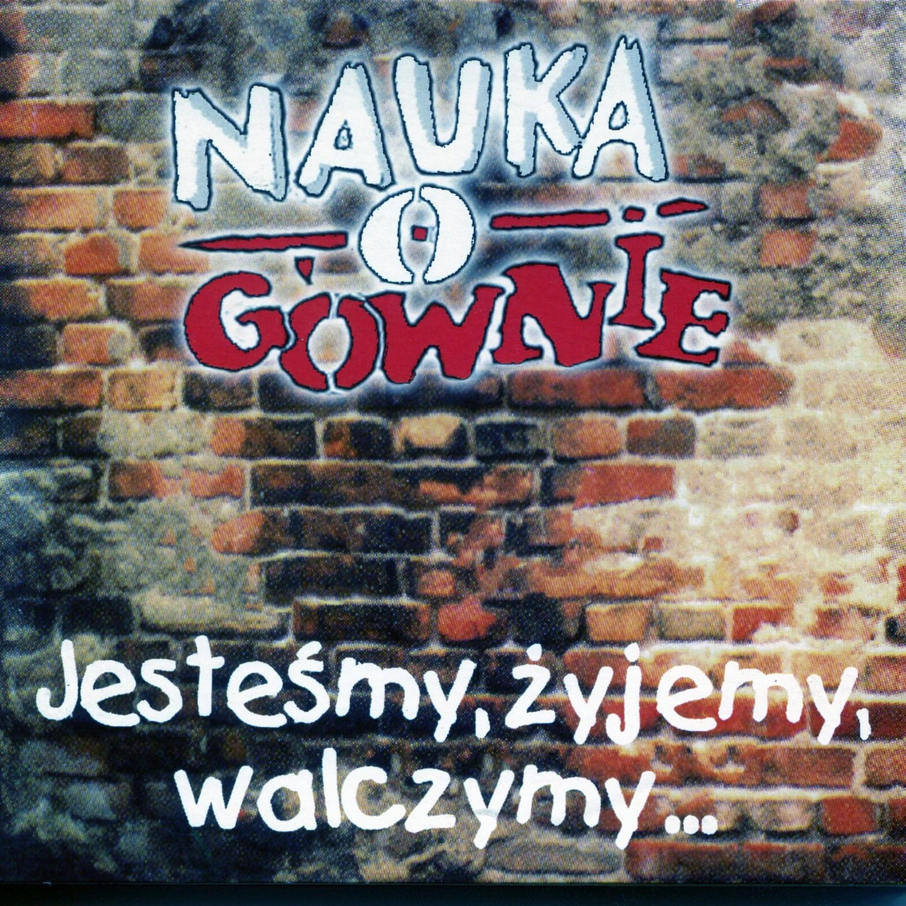 Постер альбома Jesteśmy, żyjemy, walczymy...