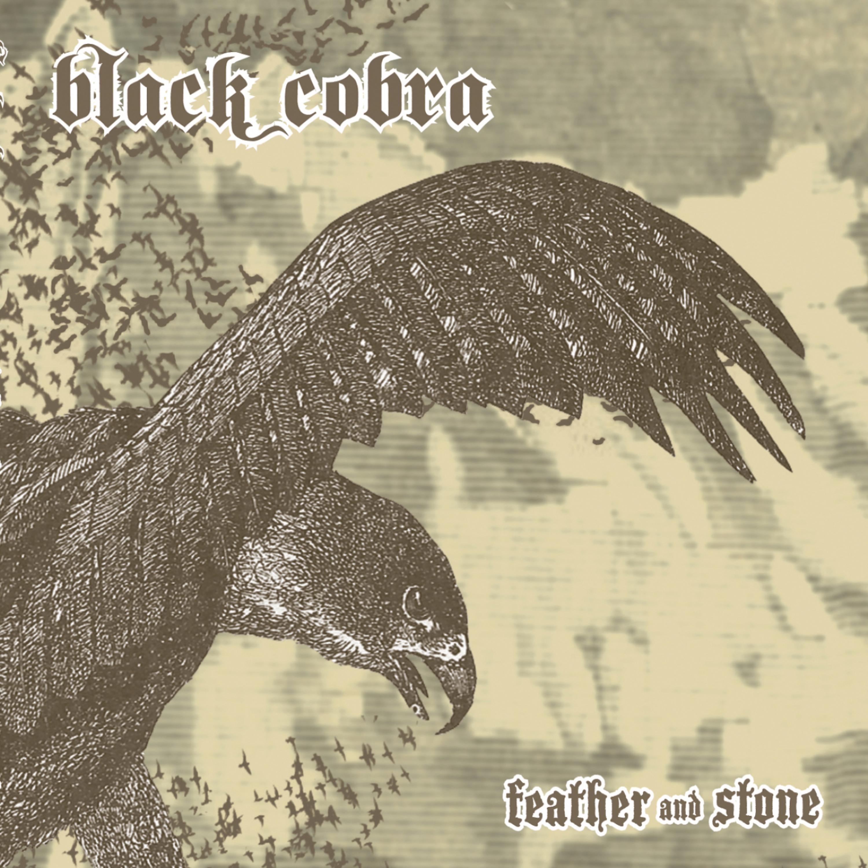 Постер альбома Feather And Stone
