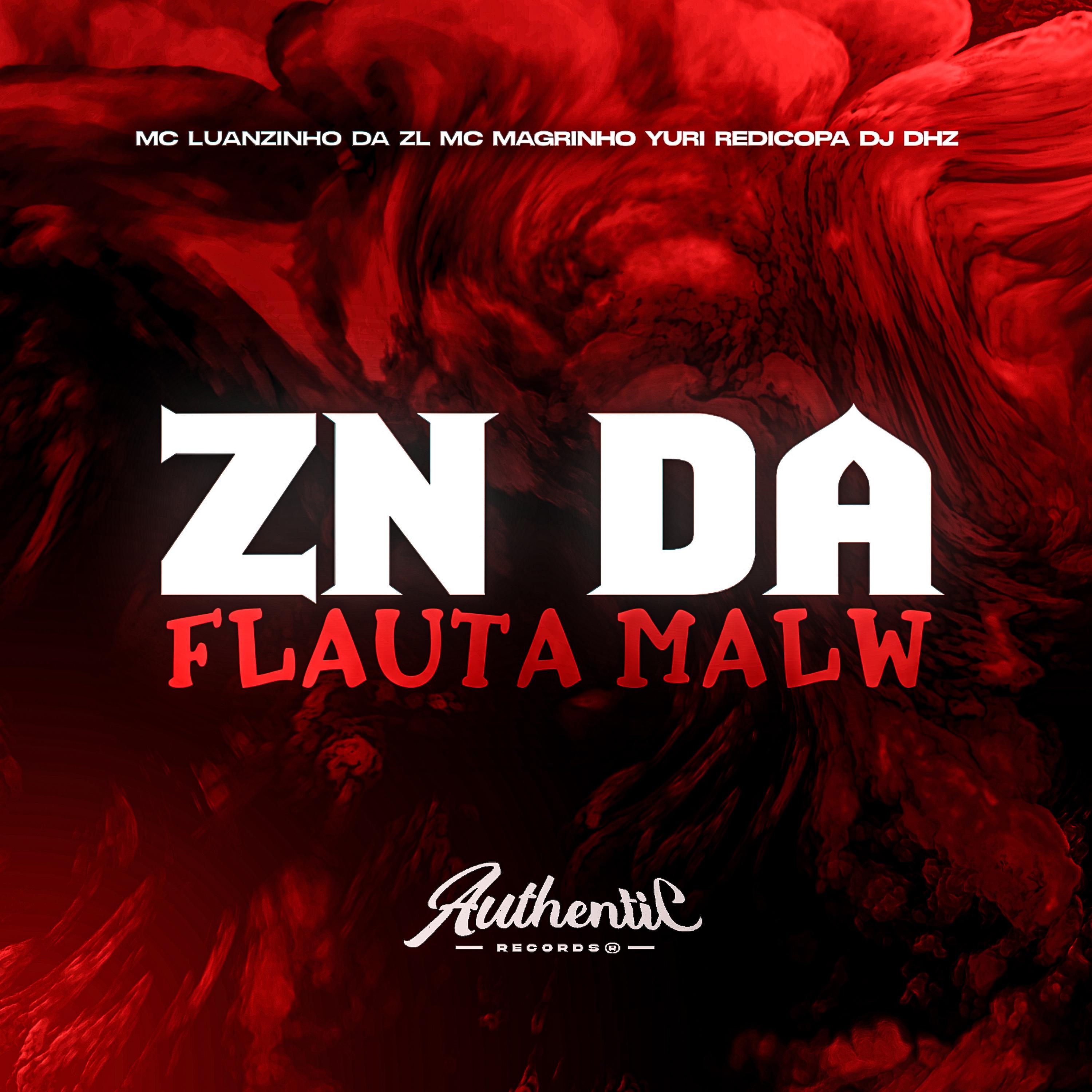 Постер альбома Zn da Flauta Malw