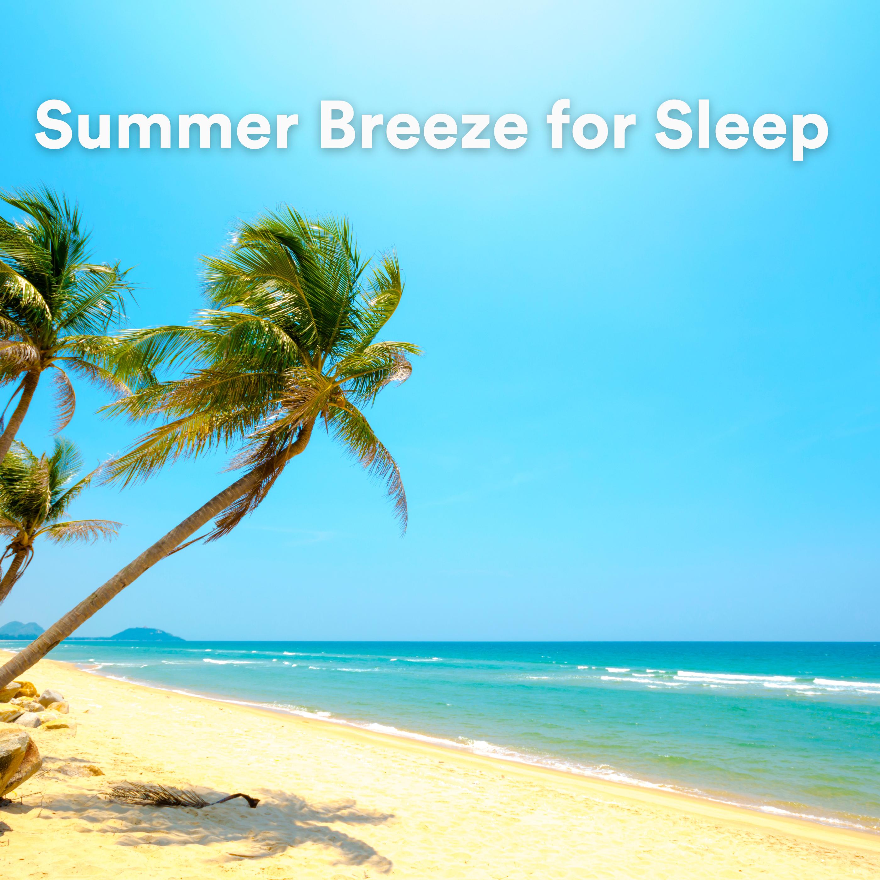 Постер альбома Summer Breeze for Sleep