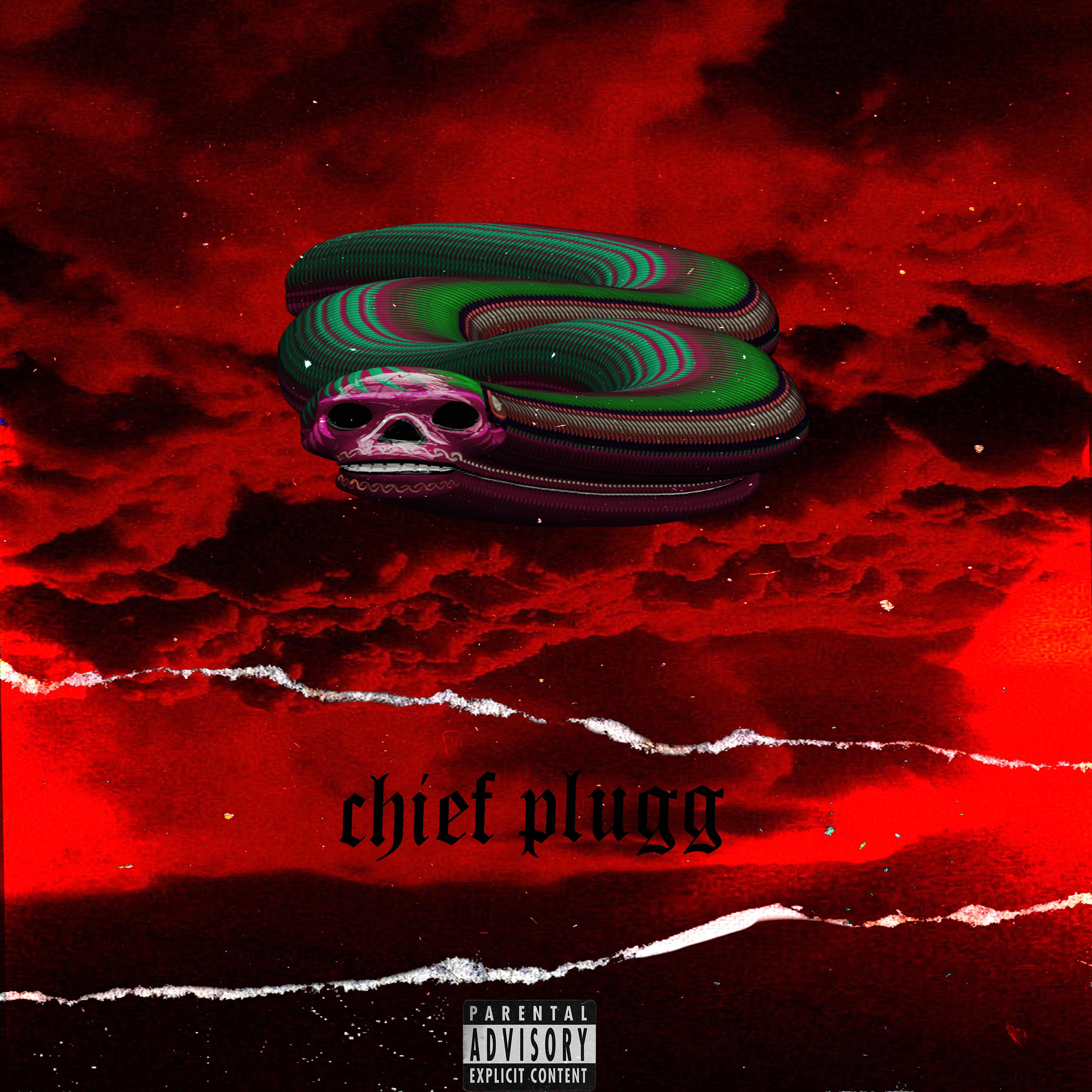 Постер альбома Chief Plugg