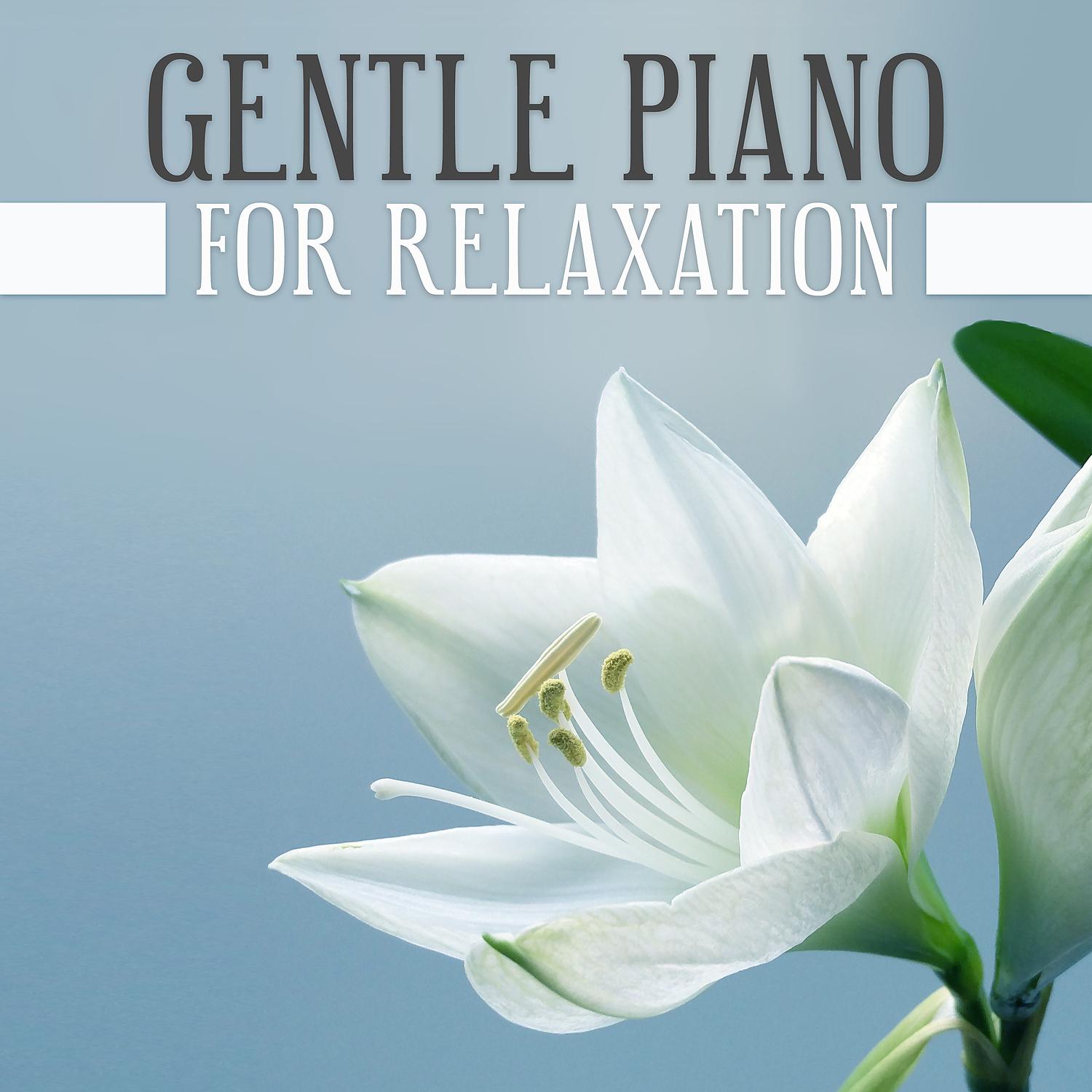 Постер альбома Gentle Piano for Relaxation - Soothing Melodies for Rest, Positive Thinking, Composers After Work