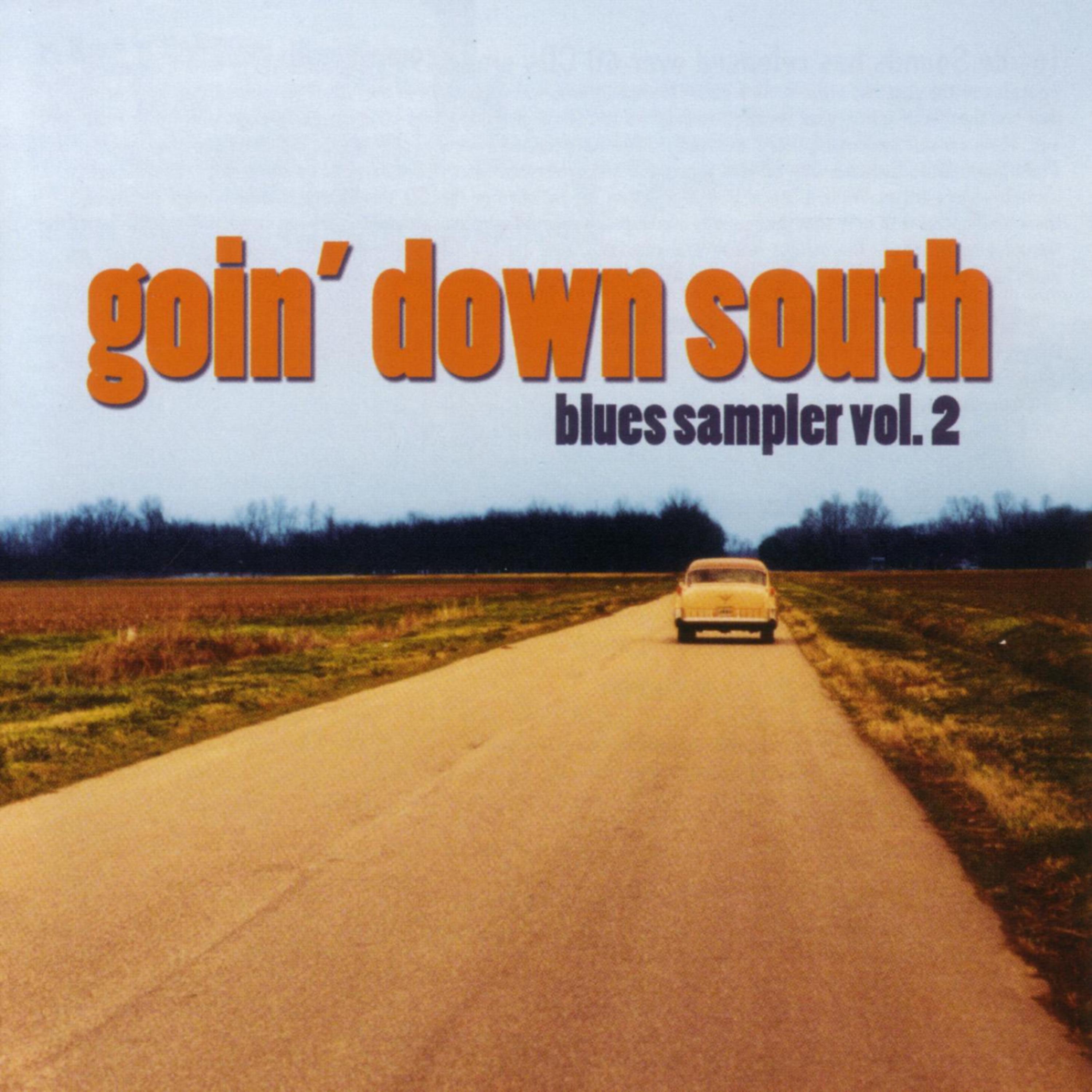 Постер альбома Goin' Down South (Blues Sampler Vol. 2)