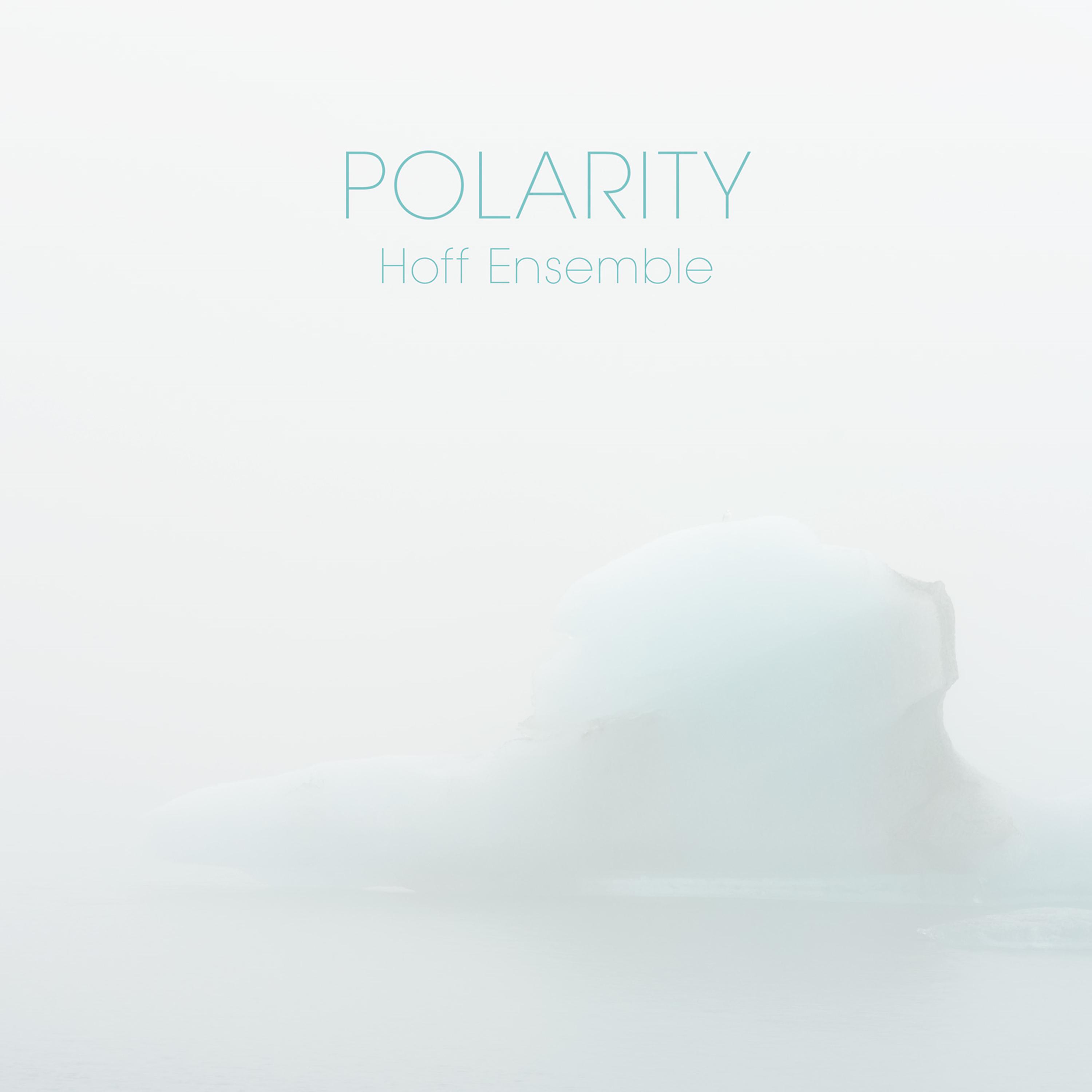 Постер альбома Polarity — an Acoustic Jazz Project