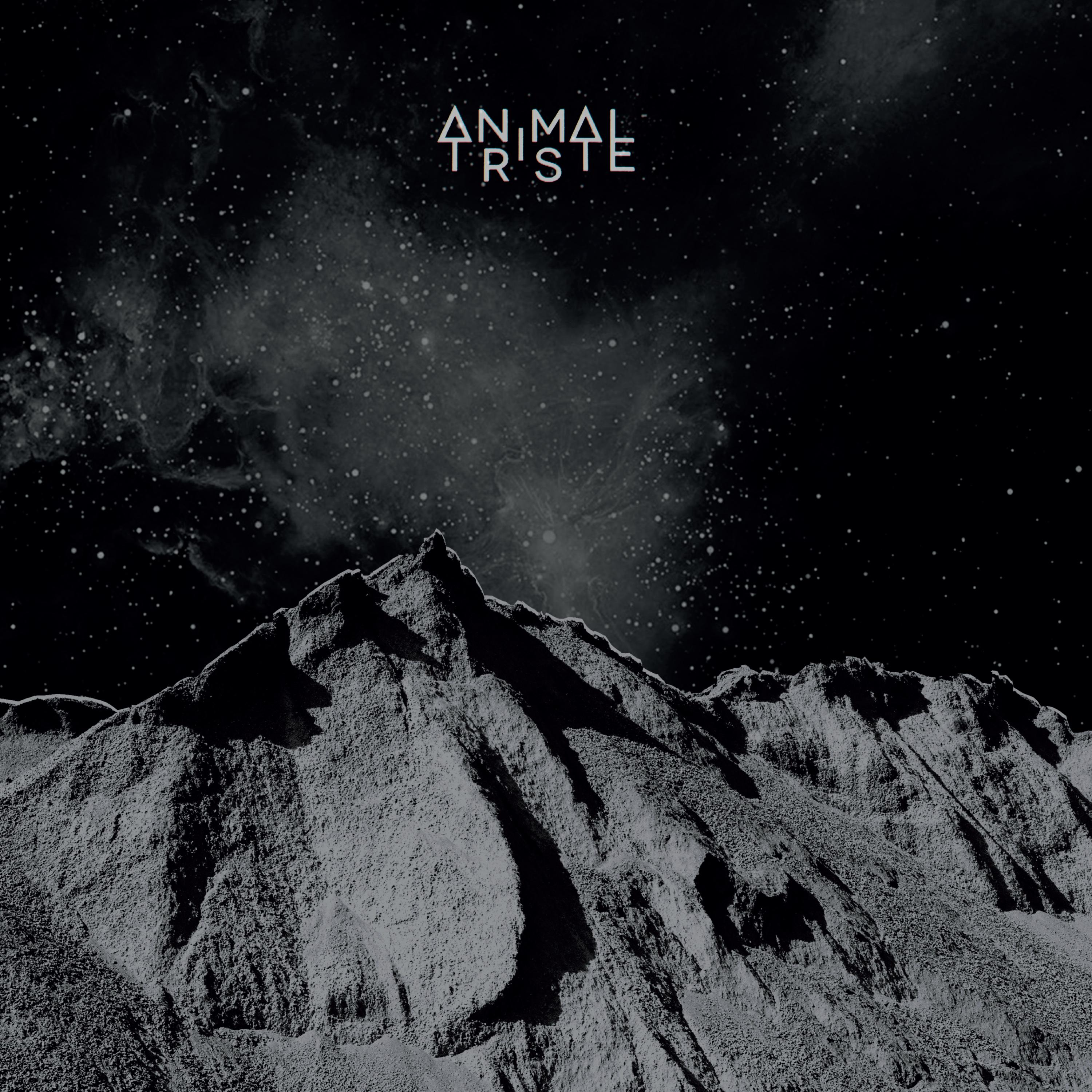 Постер альбома Animal Triste
